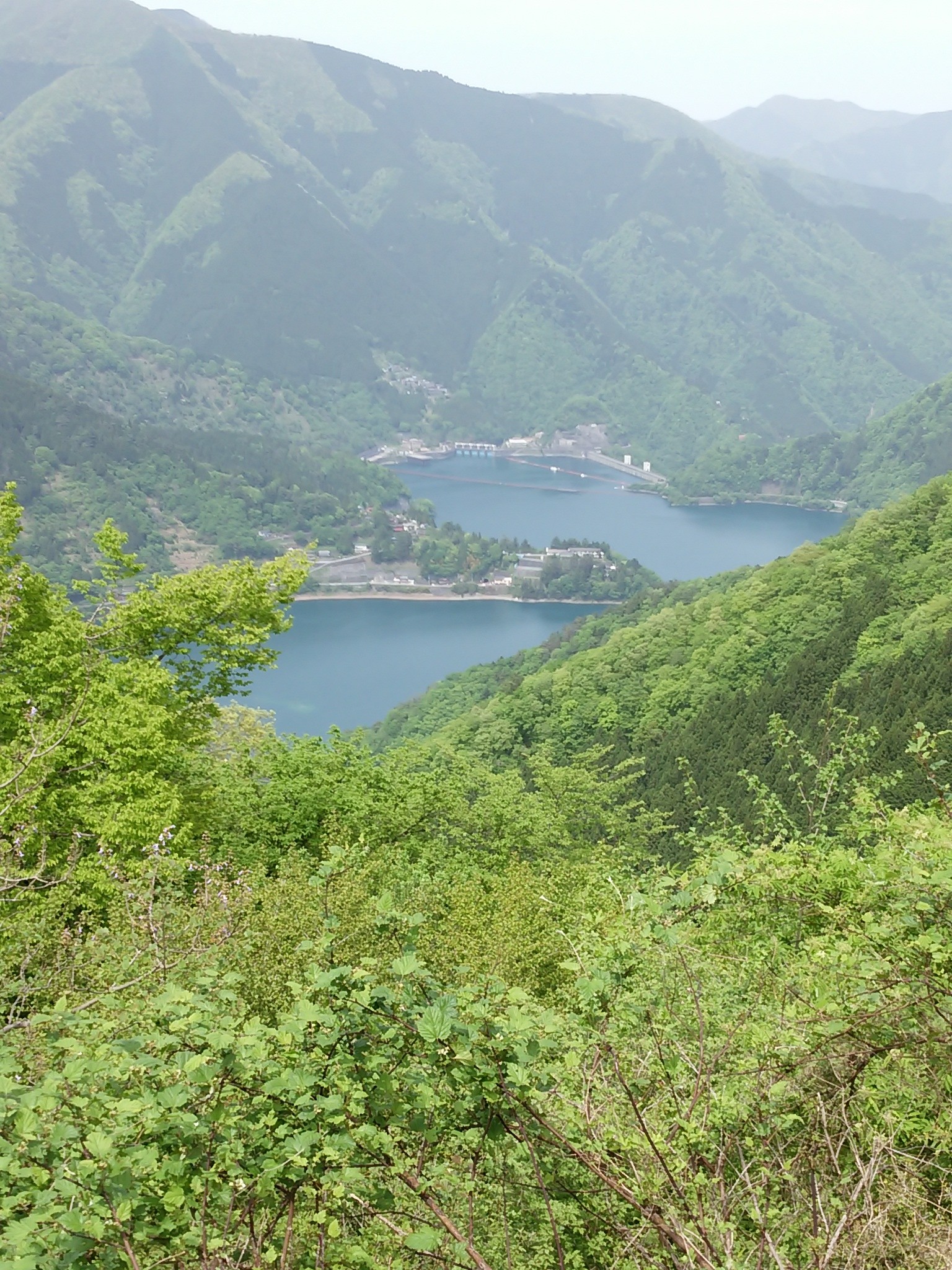 保谷のおおぞら整骨院 21時まで診療。保谷駅徒歩５分
