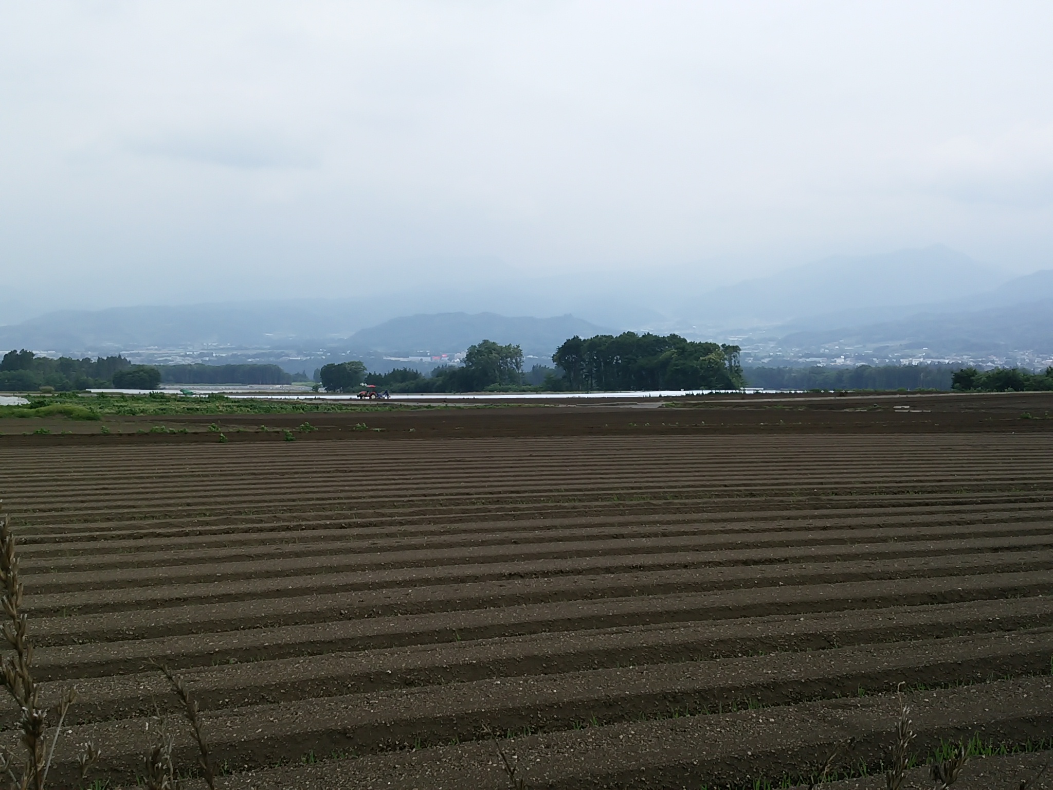 保谷のおおぞら整骨院 21時まで診療。保谷駅徒歩５分