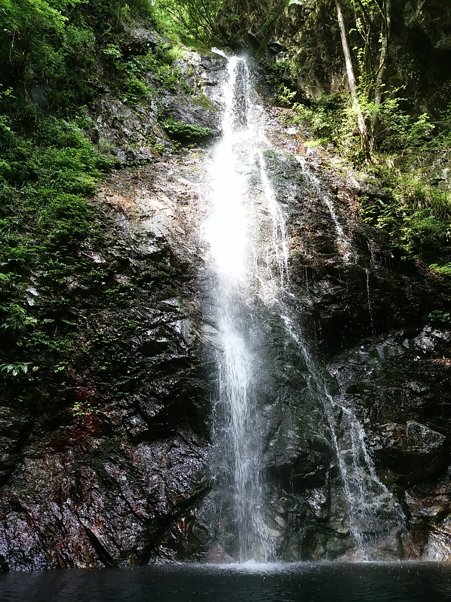 保谷のおおぞら整骨院 21時まで診療。保谷駅徒歩５分