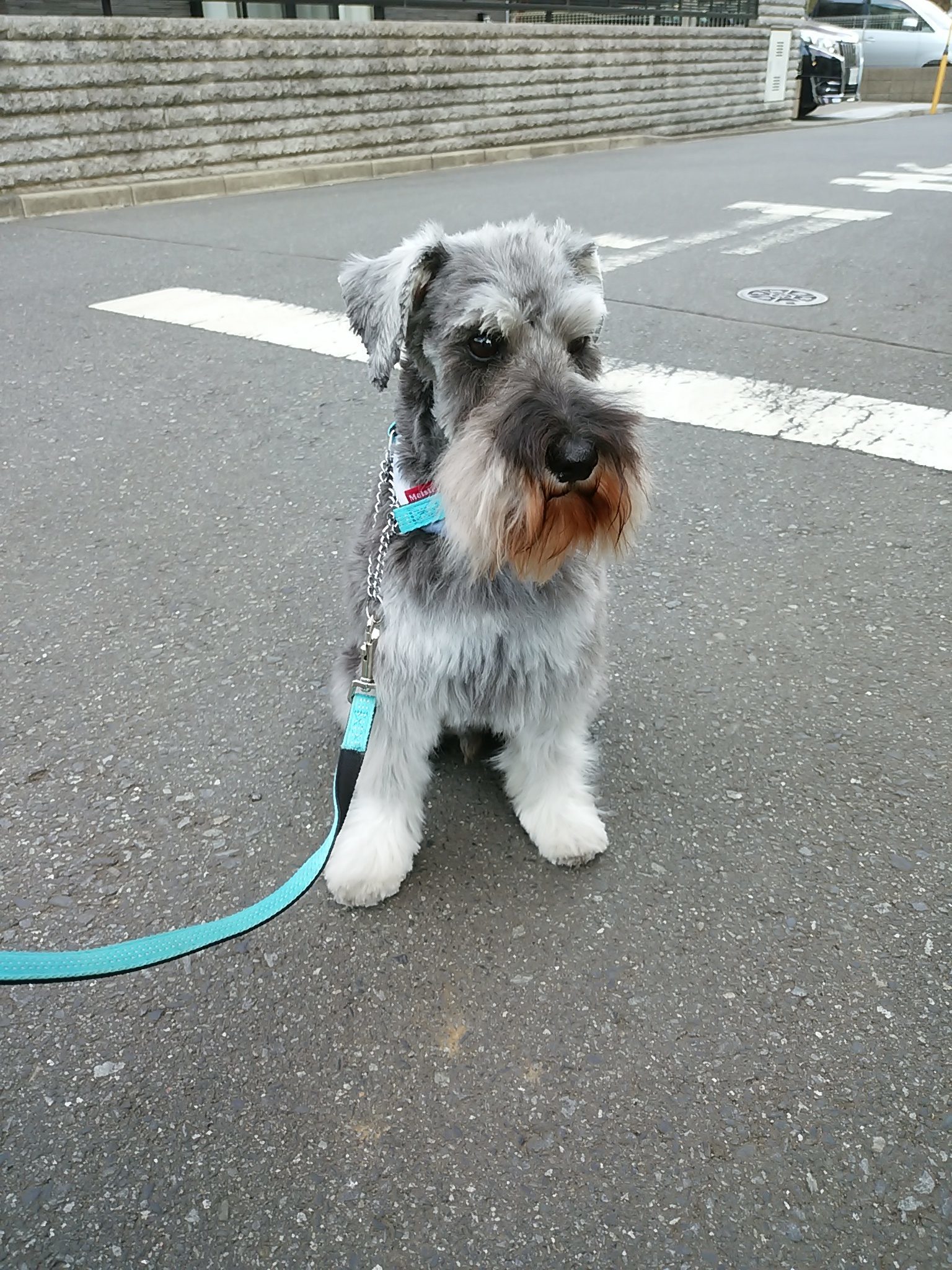 保谷のおおぞら整骨院 21時まで診療。保谷駅徒歩５分