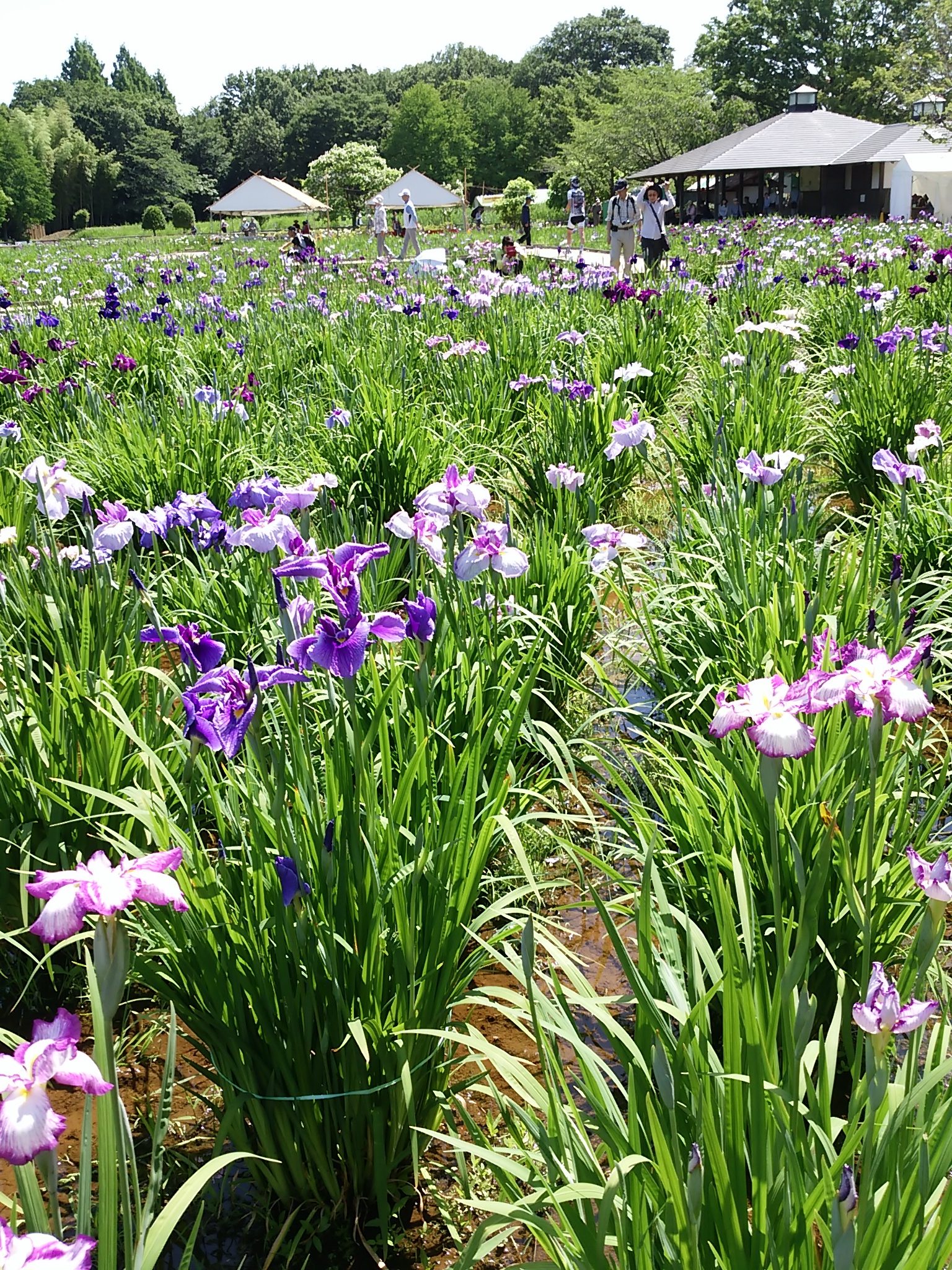 保谷のおおぞら整骨院 21時まで診療。保谷駅徒歩５分