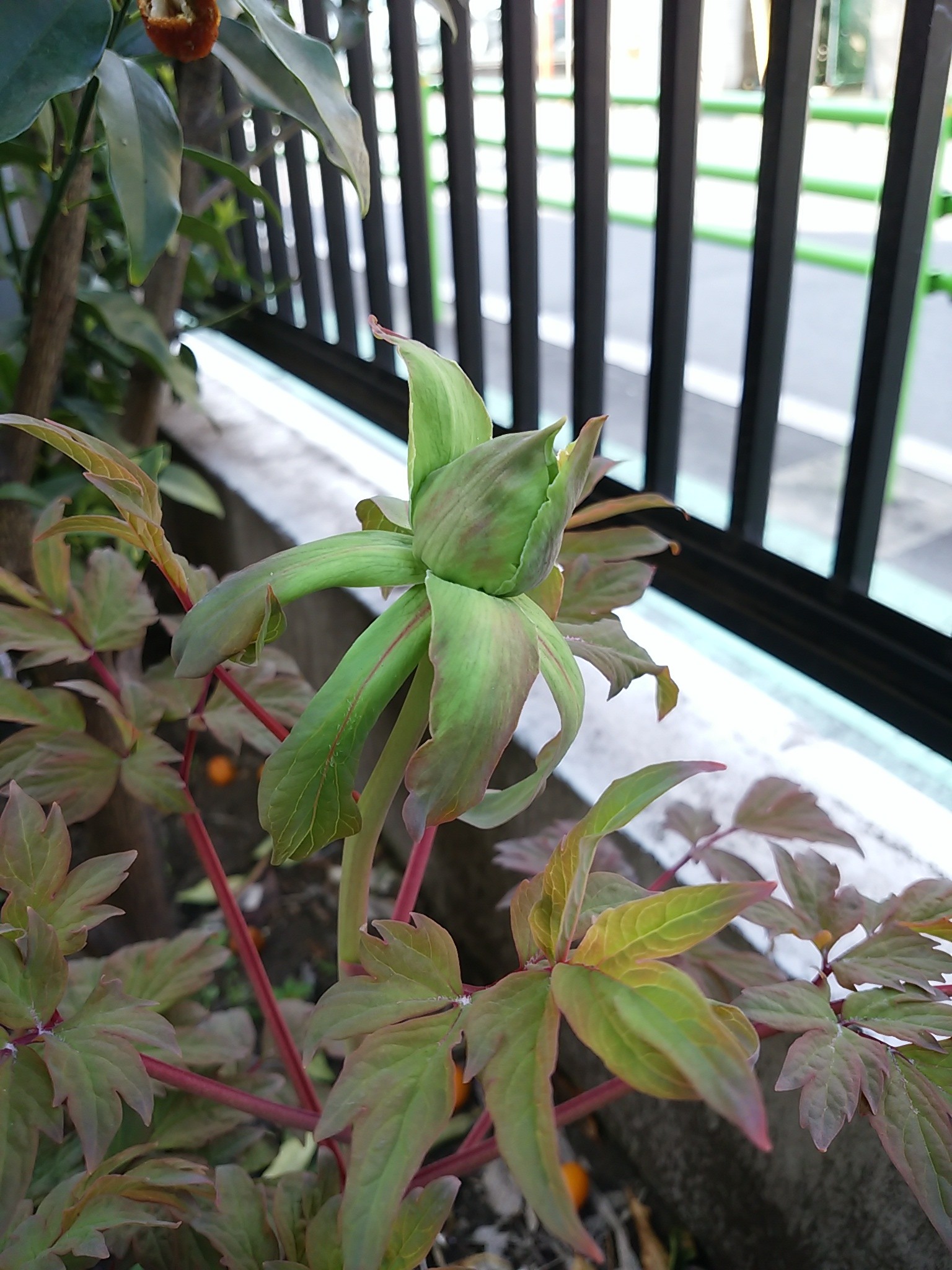 保谷のおおぞら整骨院 21時まで診療。保谷駅徒歩５分