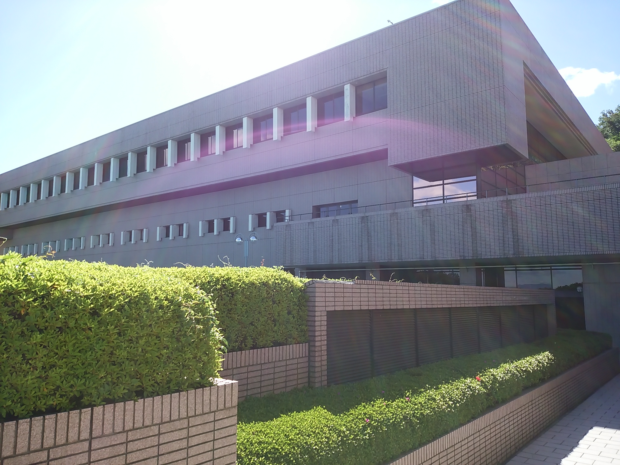 保谷のおおぞら整骨院 21時まで診療。保谷駅徒歩５分