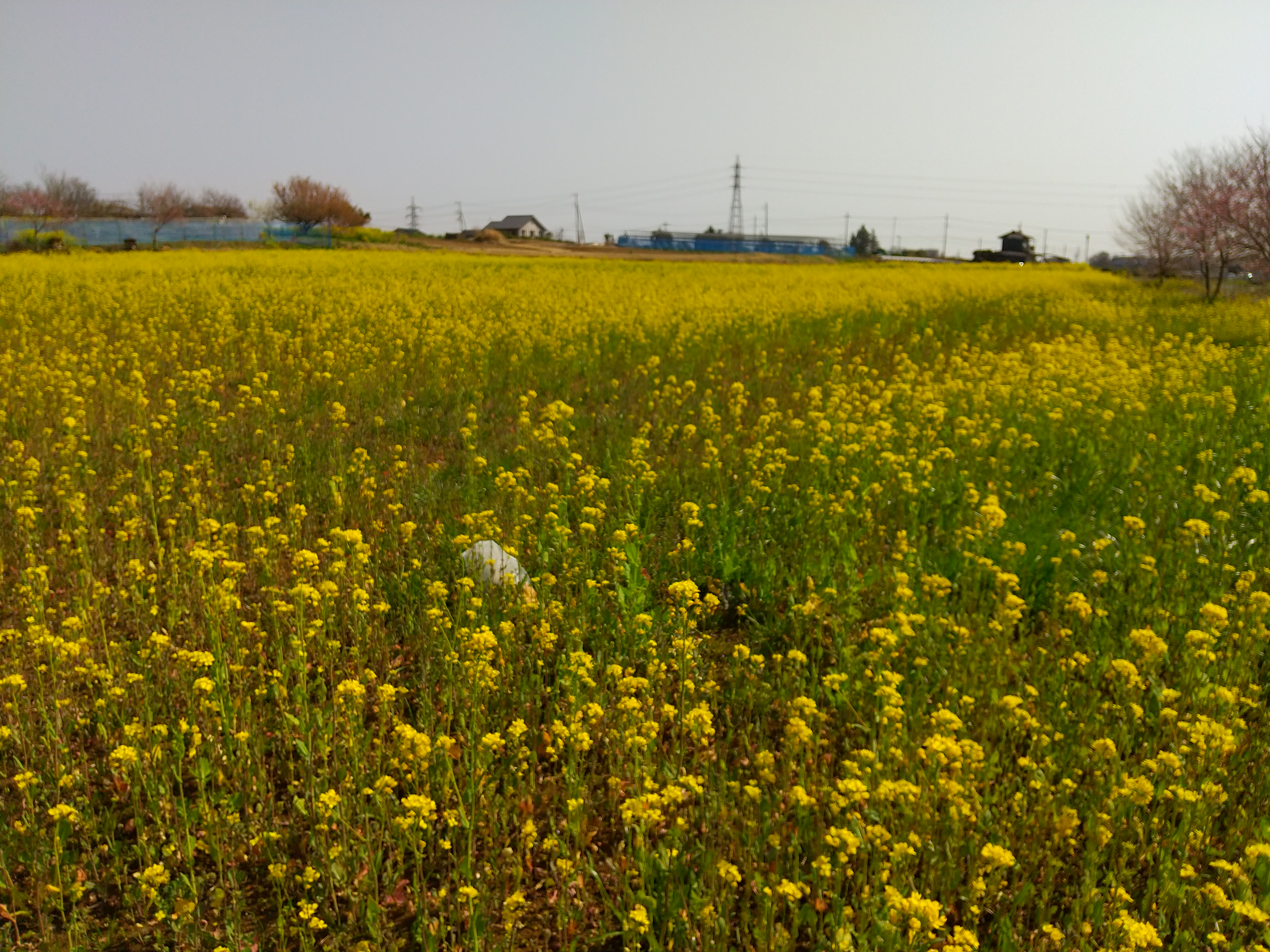 保谷のおおぞら整骨院 21時まで診療。保谷駅徒歩５分