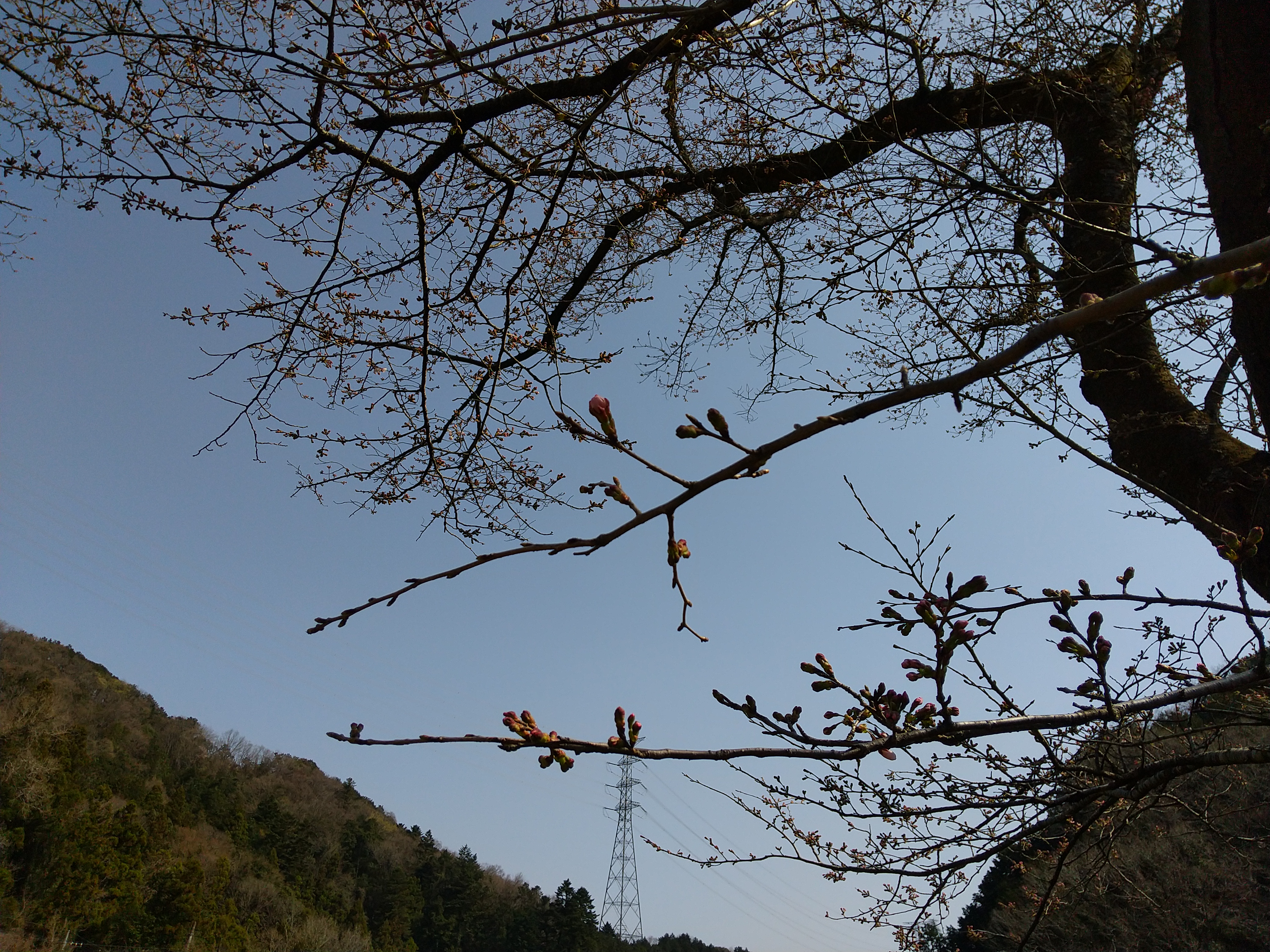 保谷のおおぞら整骨院 21時まで診療。保谷駅徒歩５分