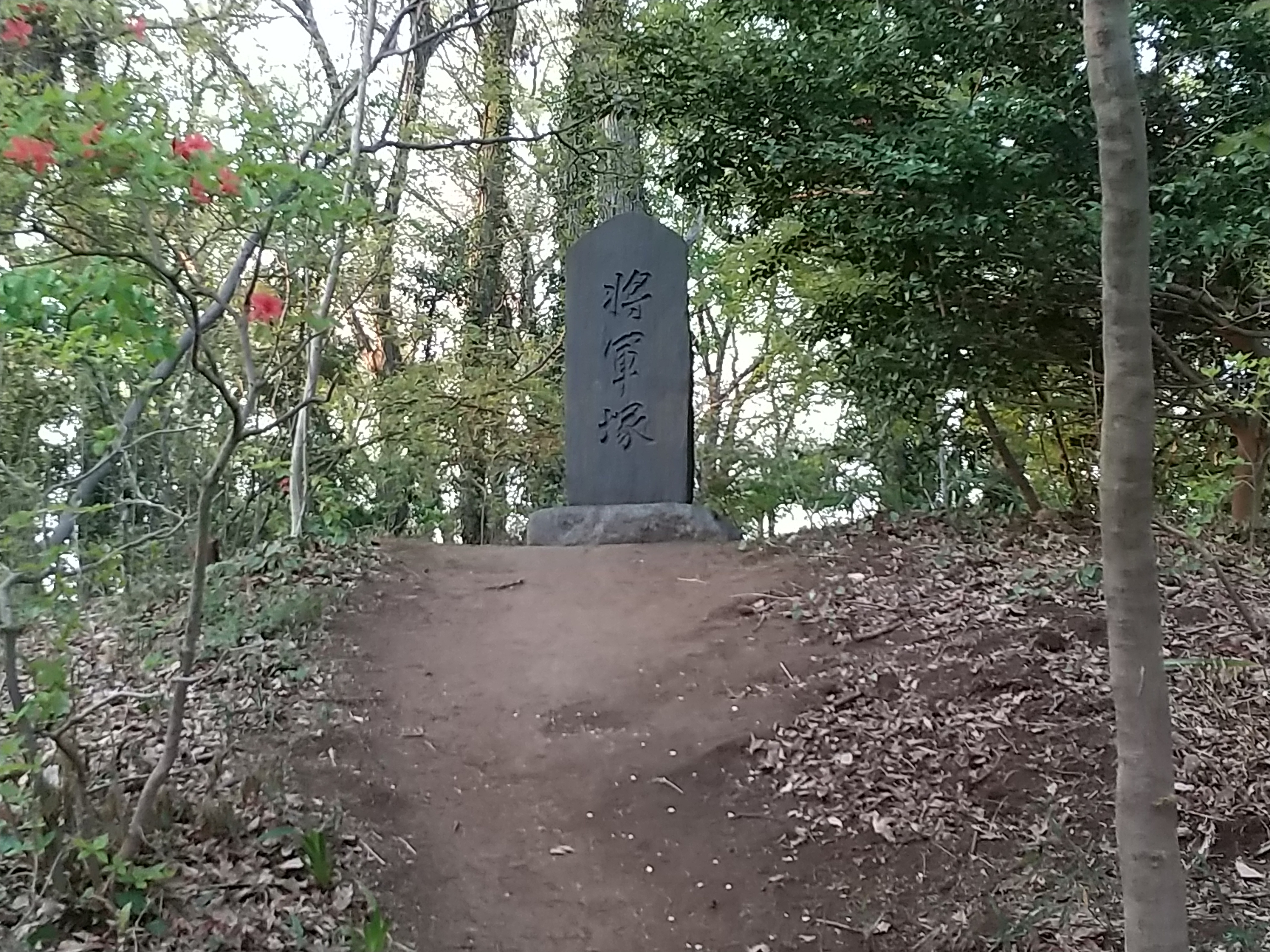 保谷のおおぞら整骨院 21時まで診療。保谷駅徒歩５分