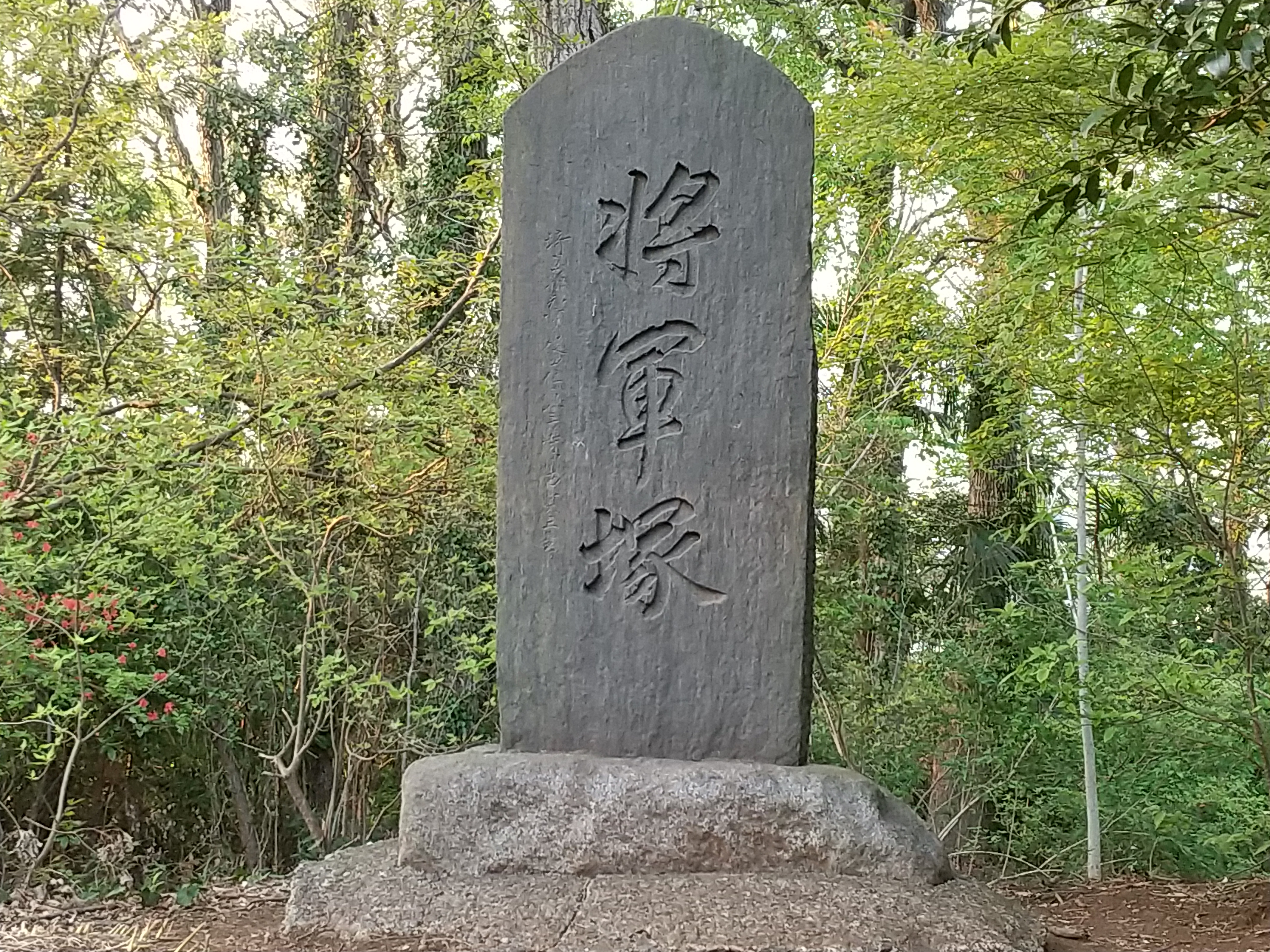 保谷のおおぞら整骨院 21時まで診療。保谷駅徒歩５分