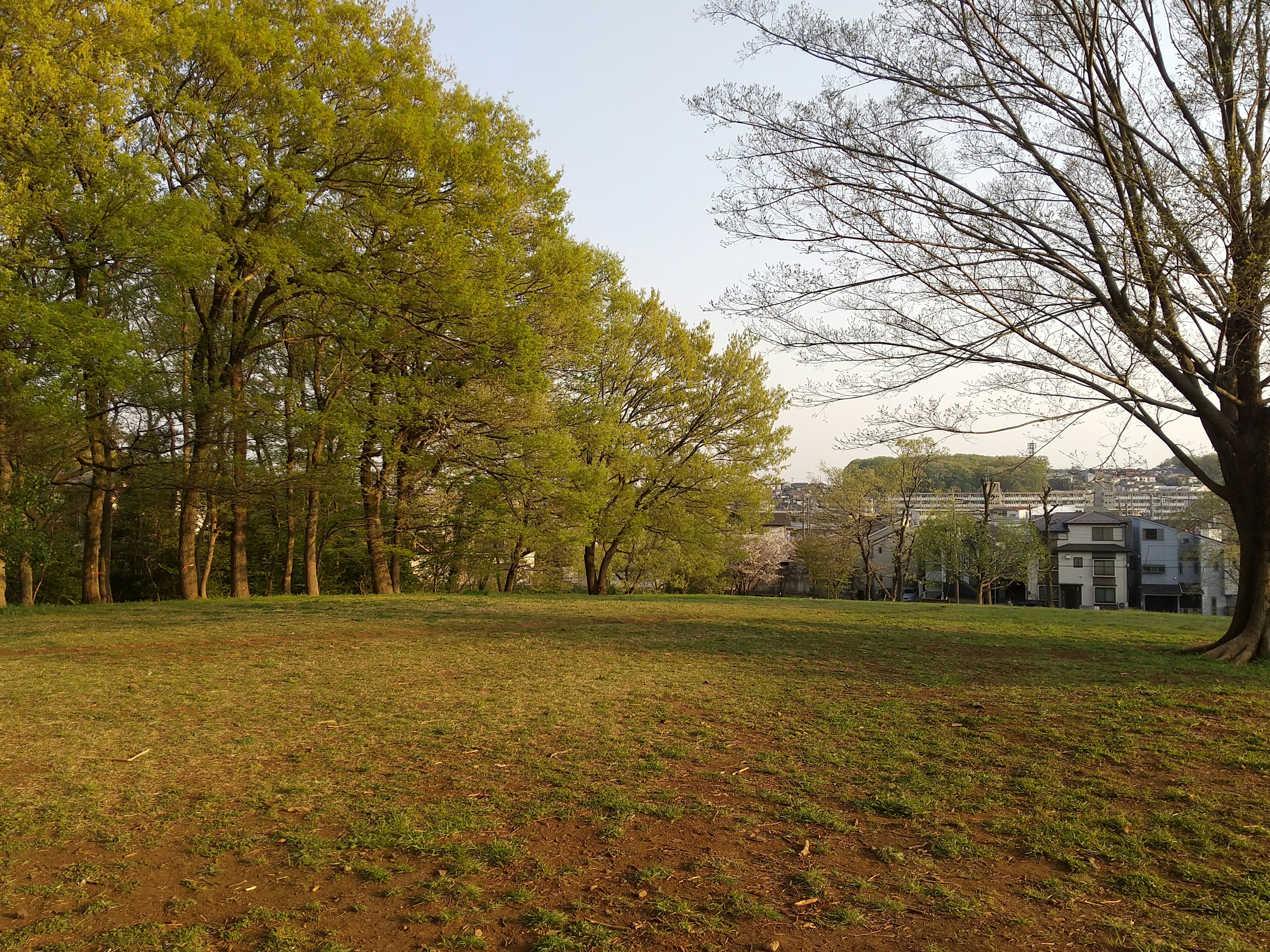 保谷のおおぞら整骨院 21時まで診療。保谷駅徒歩５分