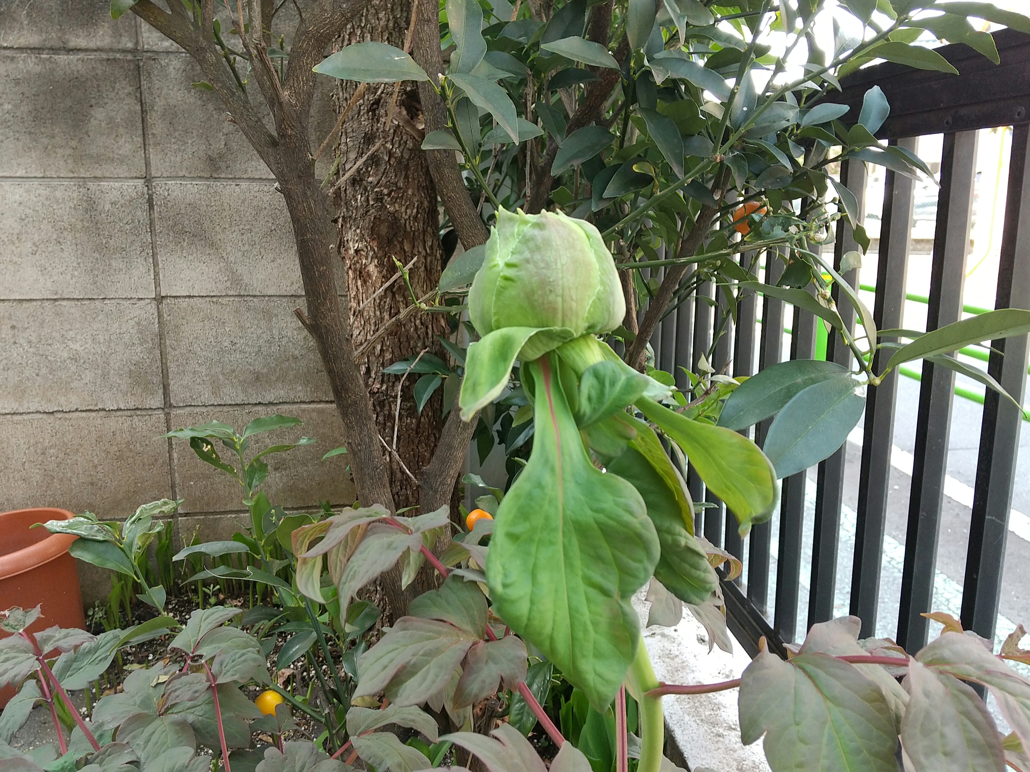 保谷のおおぞら整骨院 21時まで診療。保谷駅徒歩５分