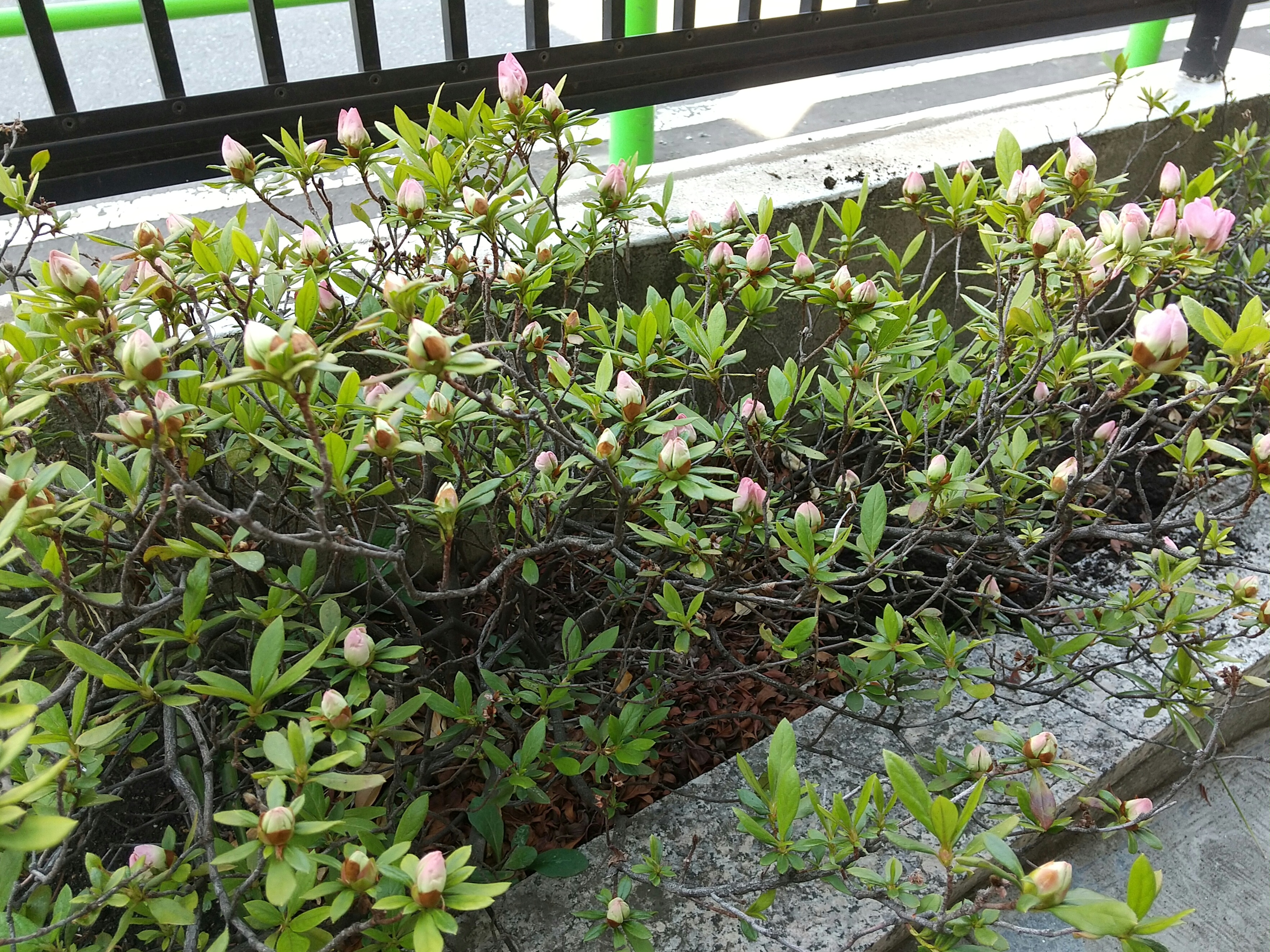 保谷のおおぞら整骨院 21時まで診療。保谷駅徒歩５分