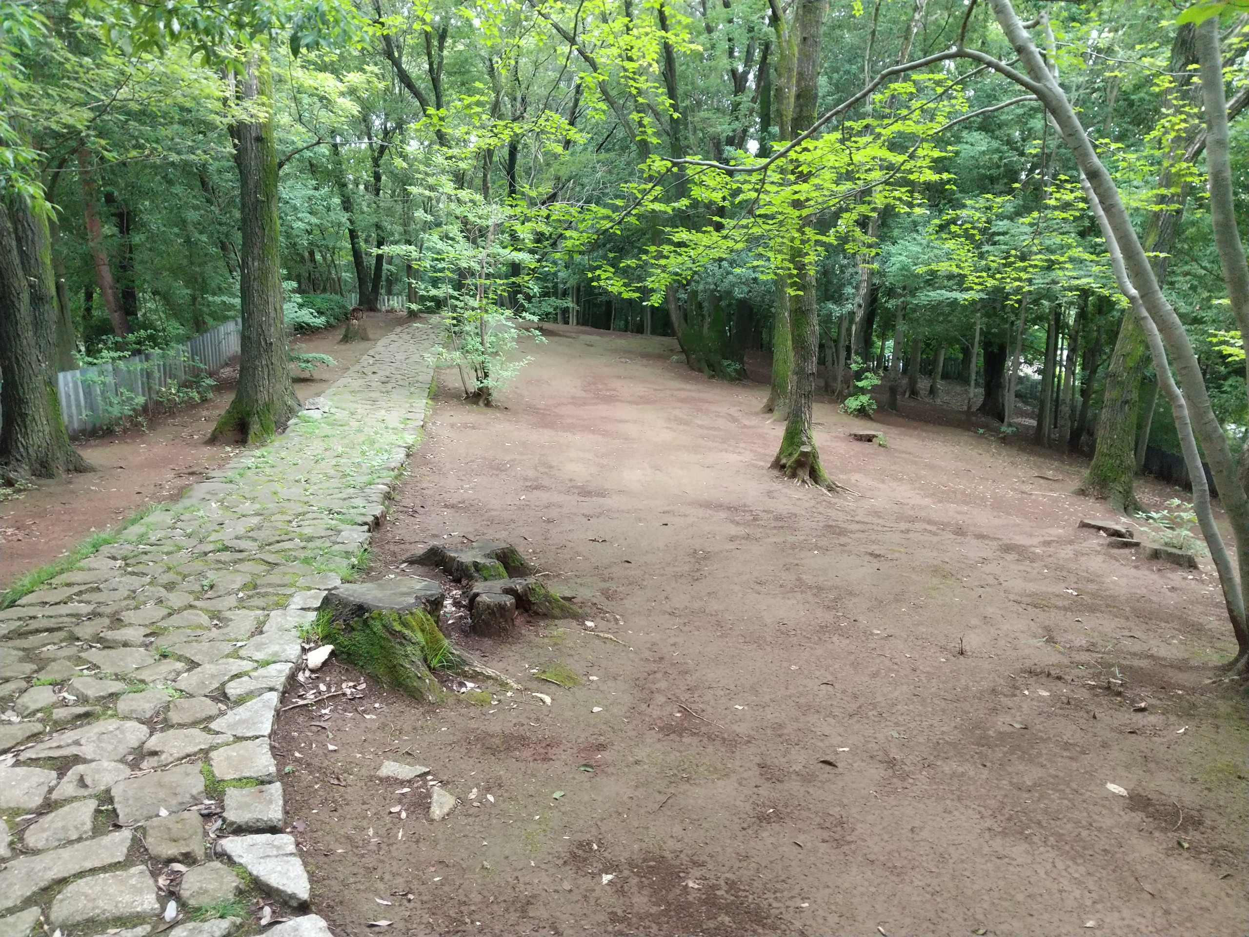 保谷のおおぞら整骨院 21時まで診療。保谷駅徒歩５分