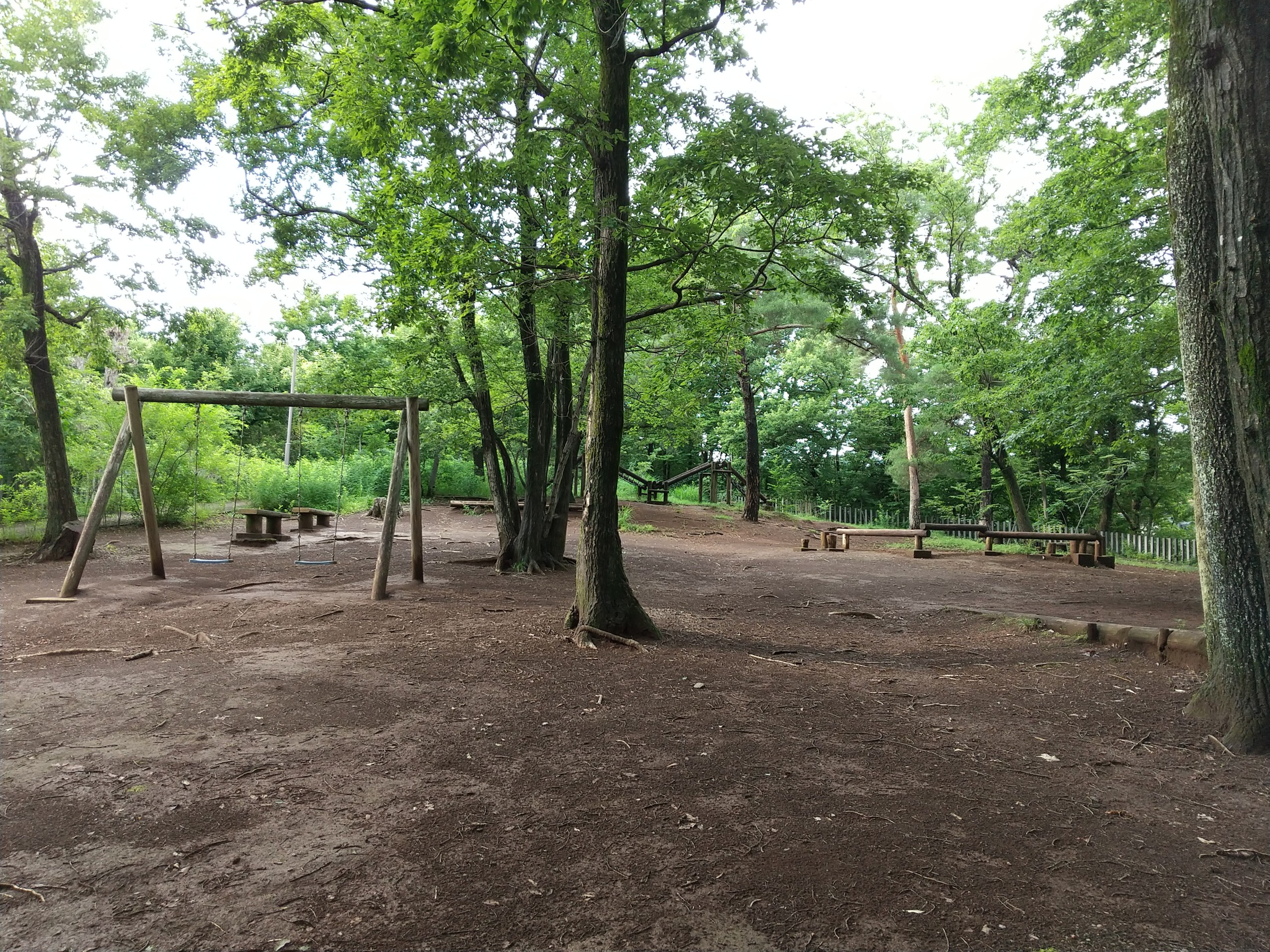 保谷のおおぞら整骨院 21時まで診療。保谷駅徒歩５分