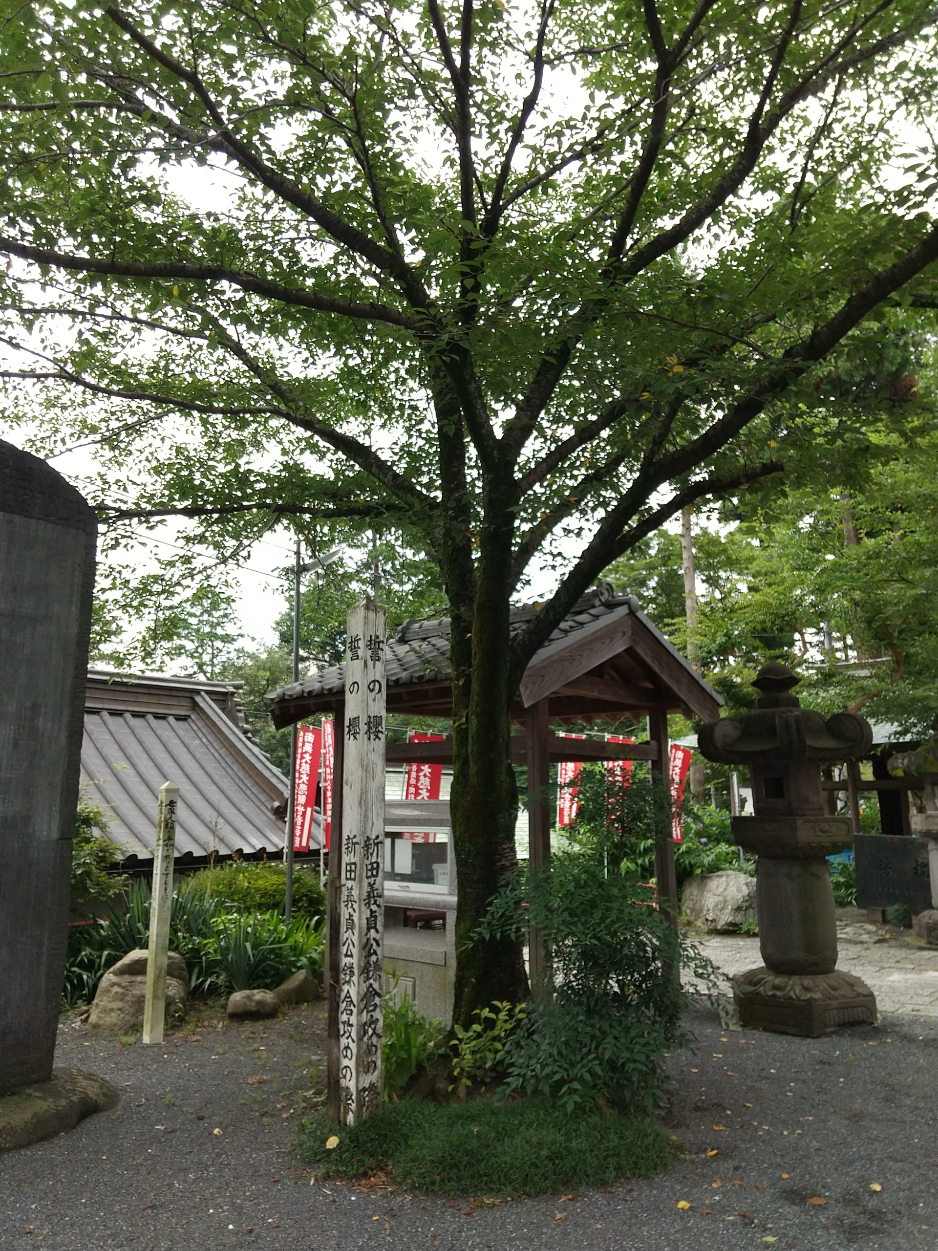 保谷のおおぞら整骨院 21時まで診療。保谷駅徒歩５分