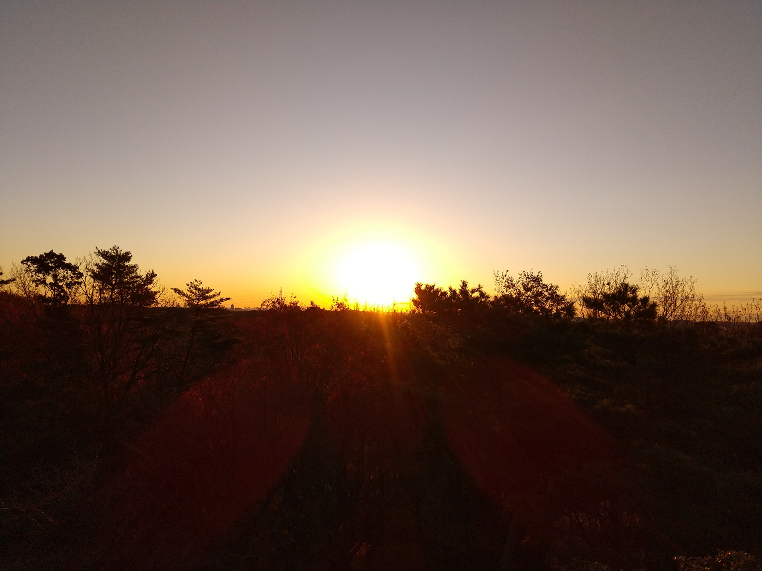 保谷のおおぞら整骨院 21時まで診療。保谷駅徒歩５分