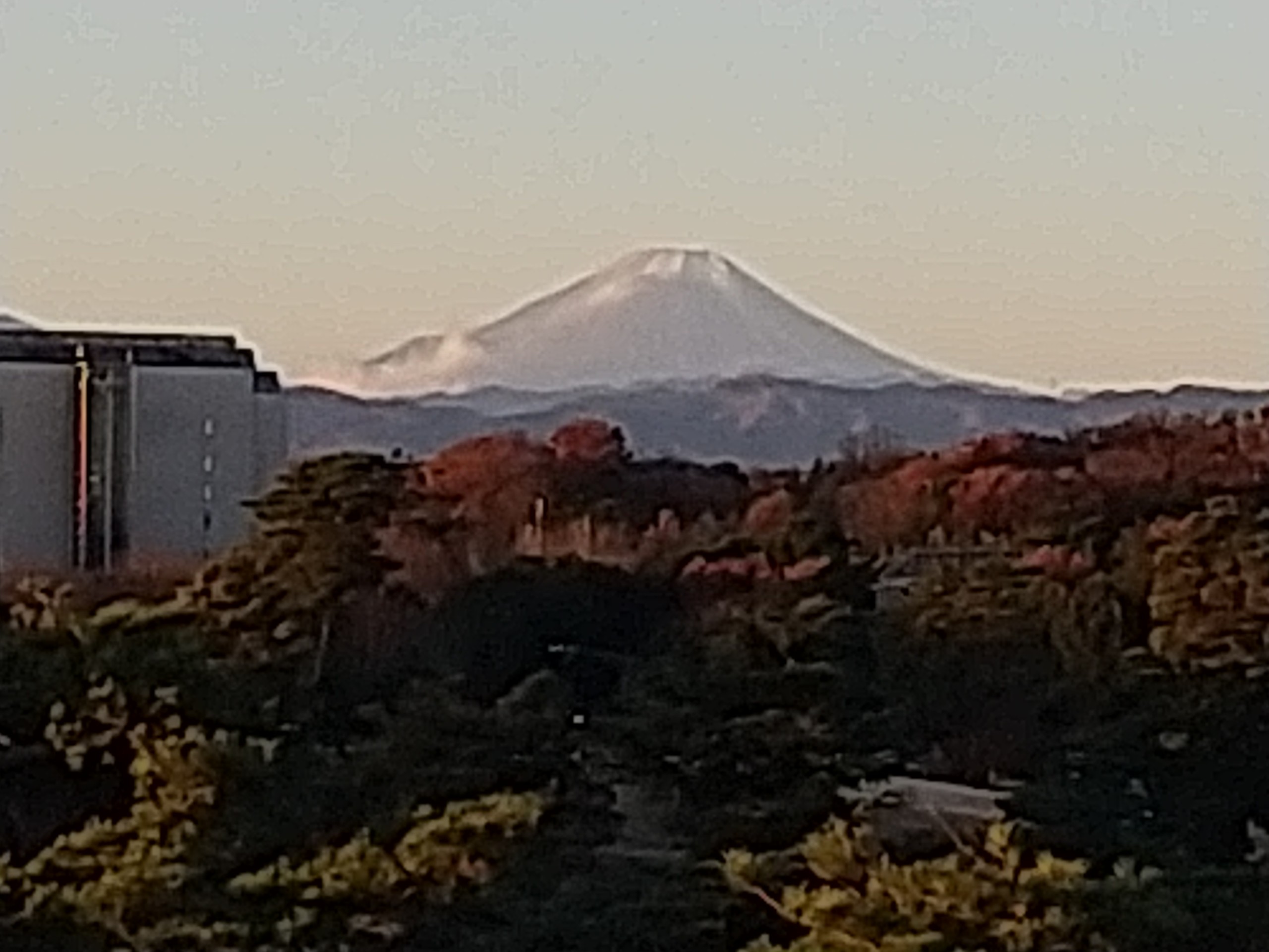 保谷のおおぞら整骨院 21時まで診療。保谷駅徒歩５分