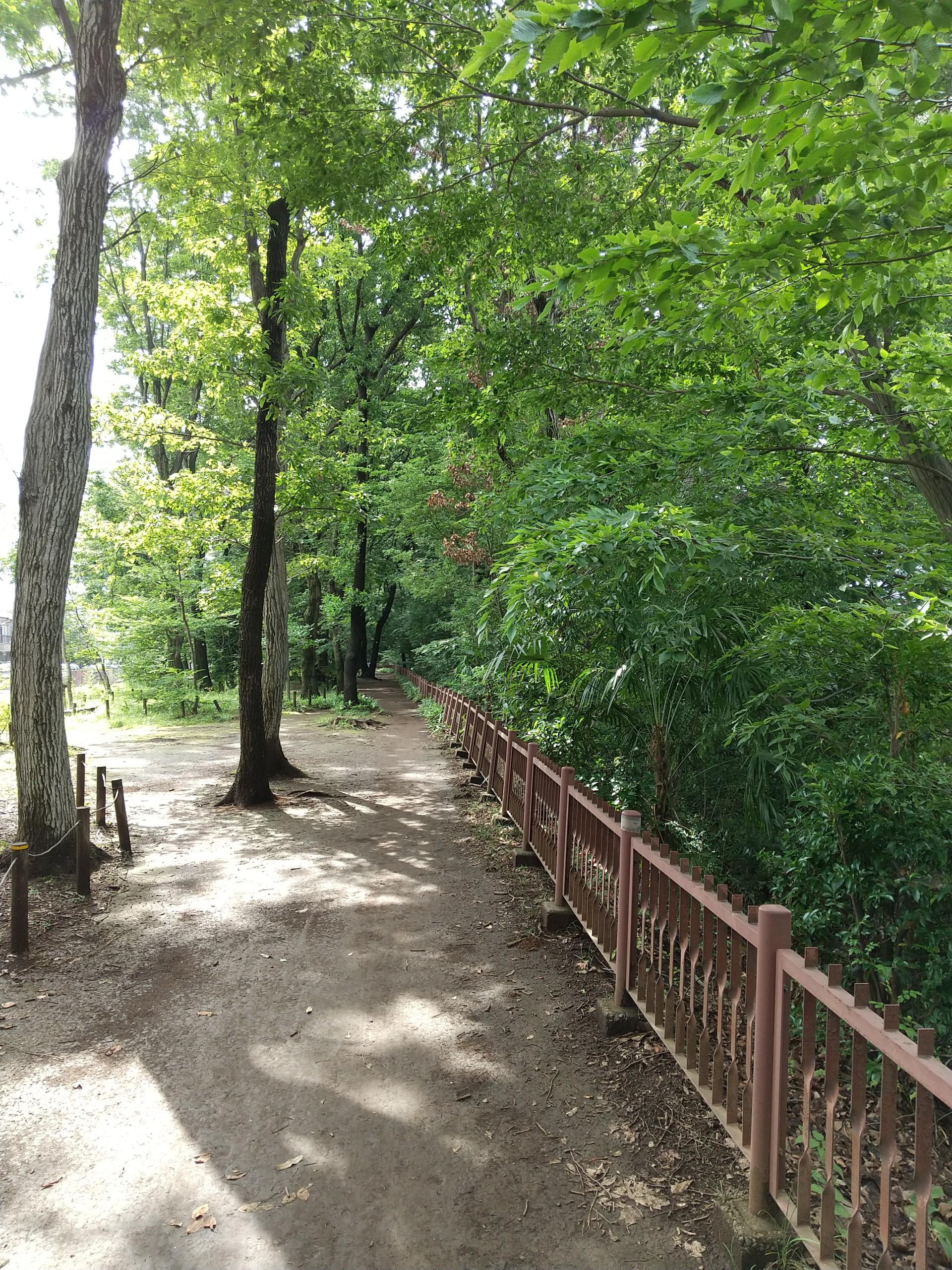 保谷のおおぞら整骨院 21時まで診療。保谷駅徒歩５分