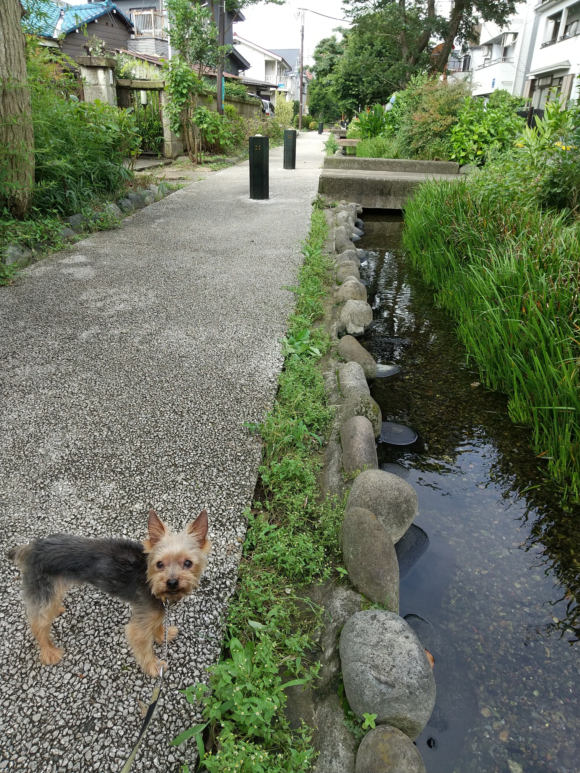 保谷のおおぞら整骨院 21時まで診療。保谷駅徒歩５分