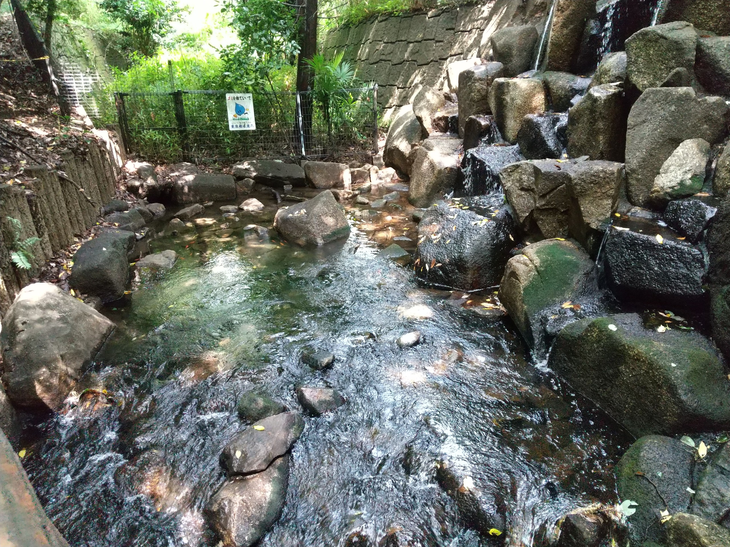 保谷のおおぞら整骨院 21時まで診療。保谷駅徒歩５分