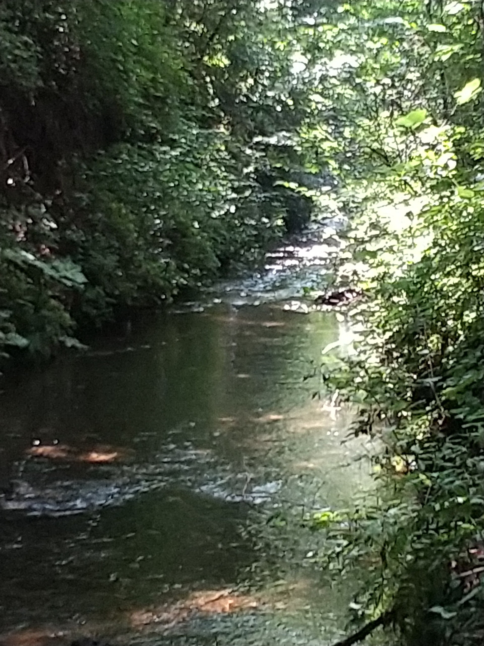 保谷のおおぞら整骨院 21時まで診療。保谷駅徒歩５分