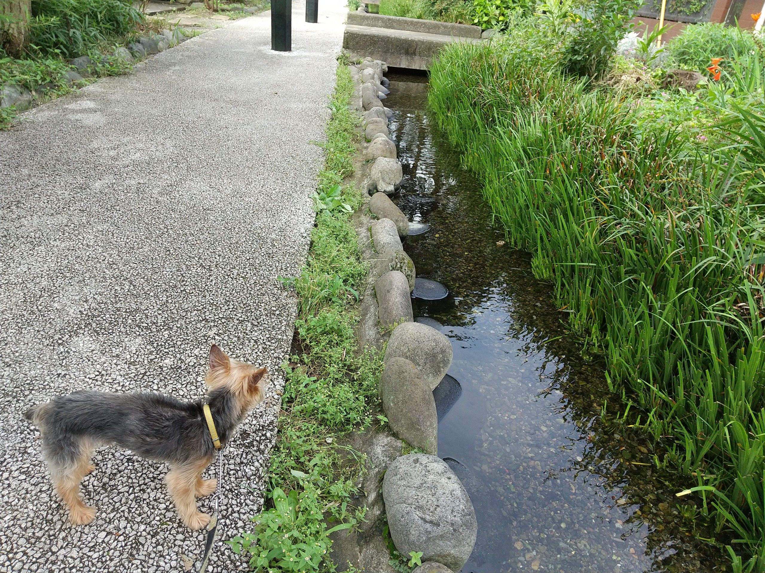 保谷のおおぞら整骨院 21時まで診療。保谷駅徒歩５分