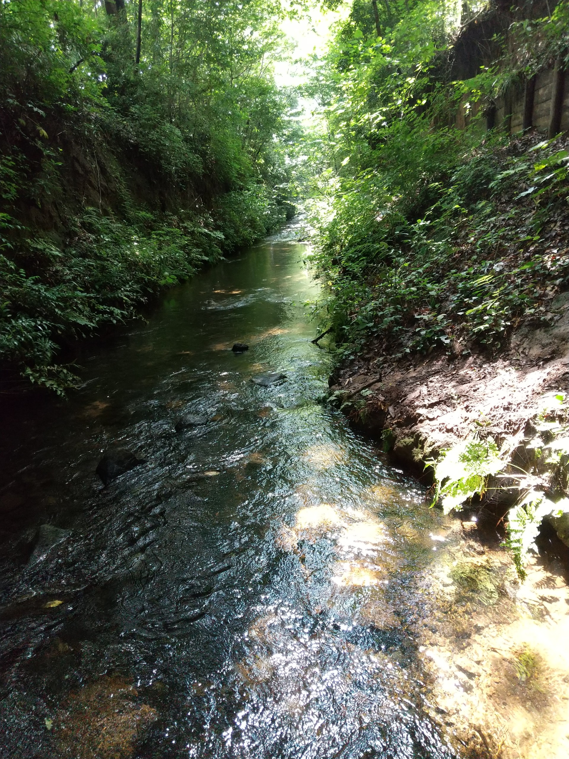 保谷のおおぞら整骨院 21時まで診療。保谷駅徒歩５分