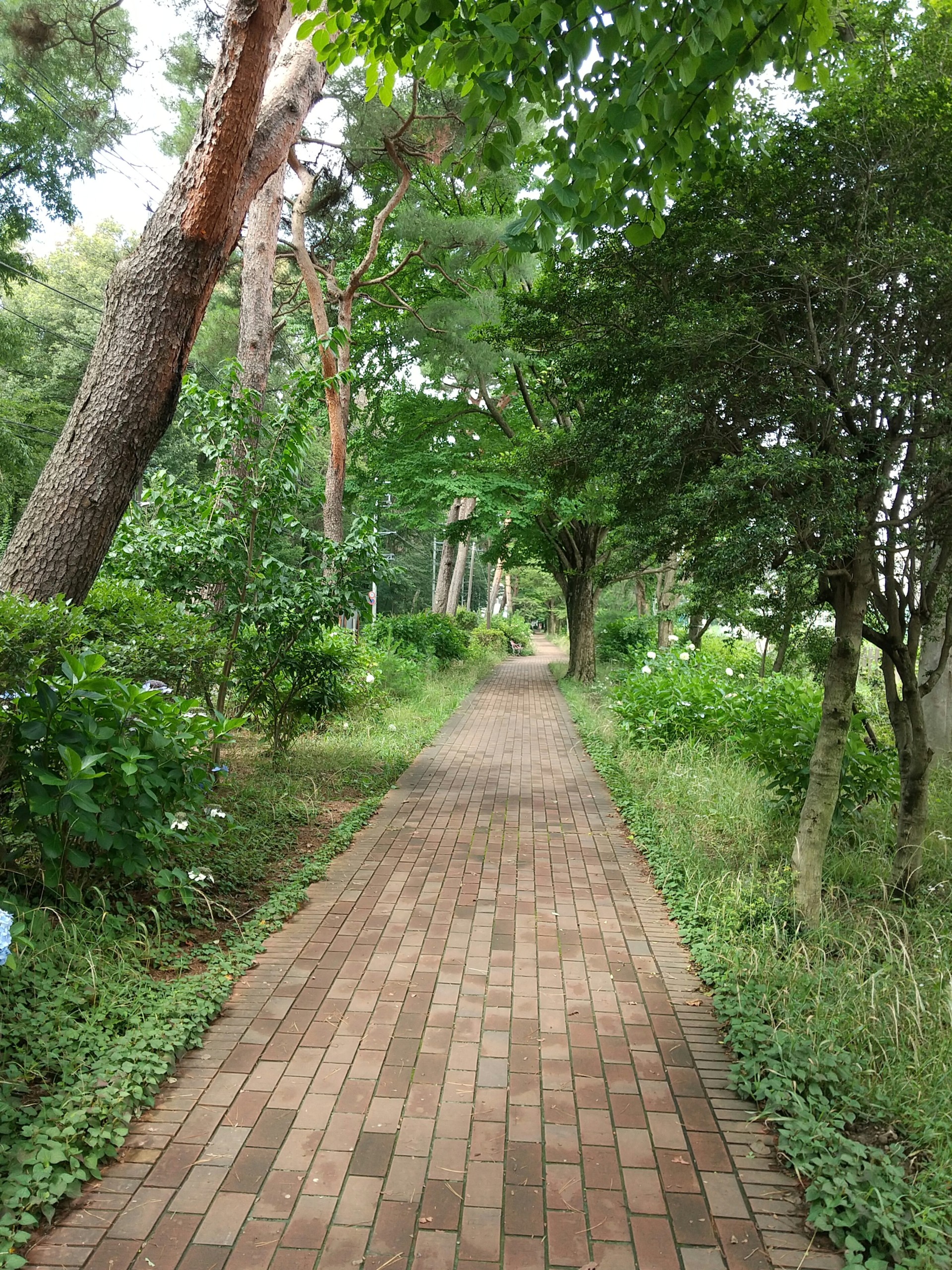 保谷のおおぞら整骨院 21時まで診療。保谷駅徒歩５分