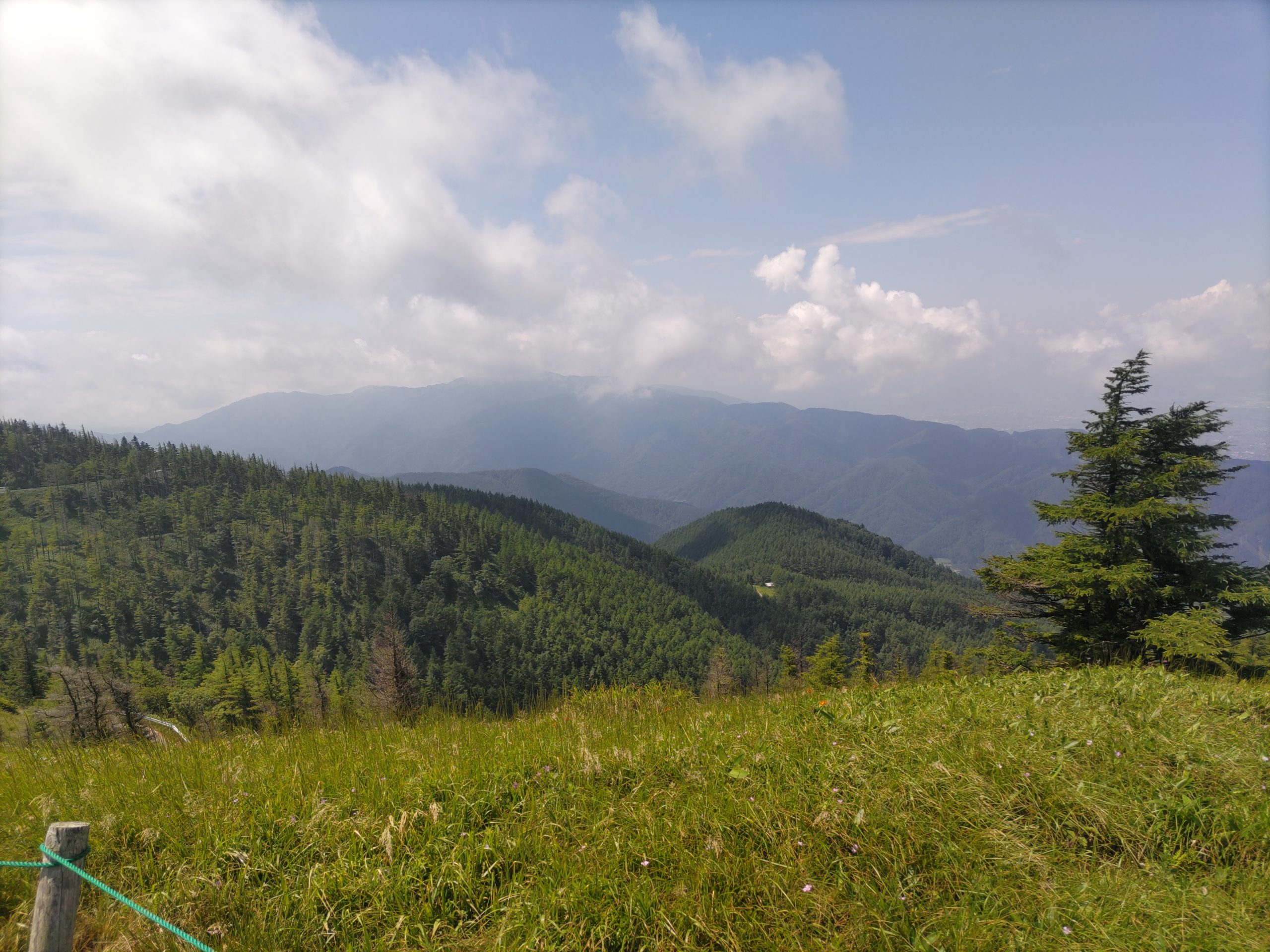 保谷のおおぞら整骨院 21時まで診療。保谷駅徒歩５分