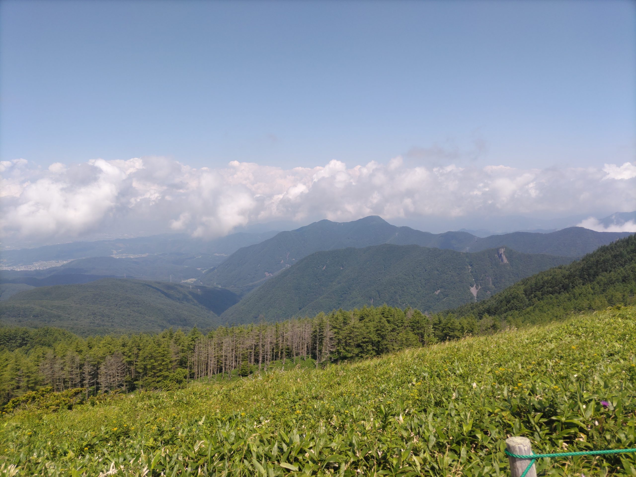 保谷のおおぞら整骨院 21時まで診療。保谷駅徒歩５分