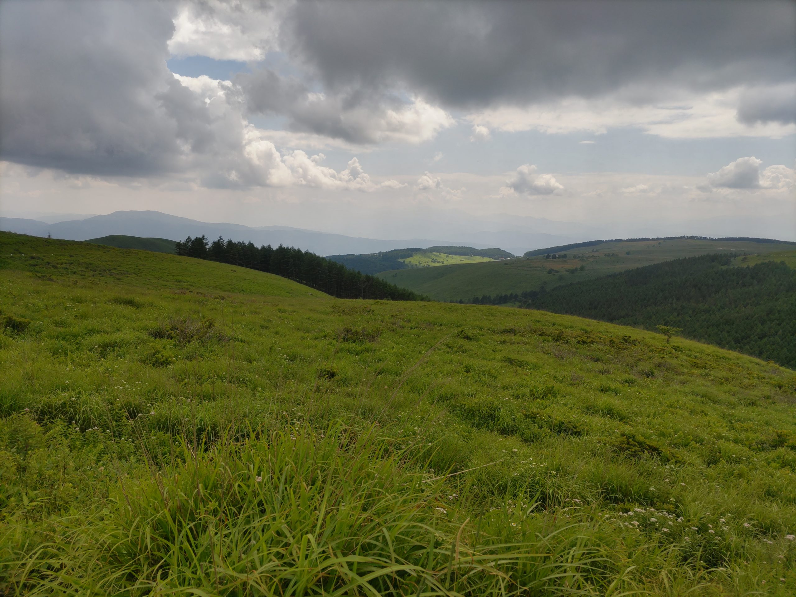 保谷のおおぞら整骨院 21時まで診療。保谷駅徒歩５分