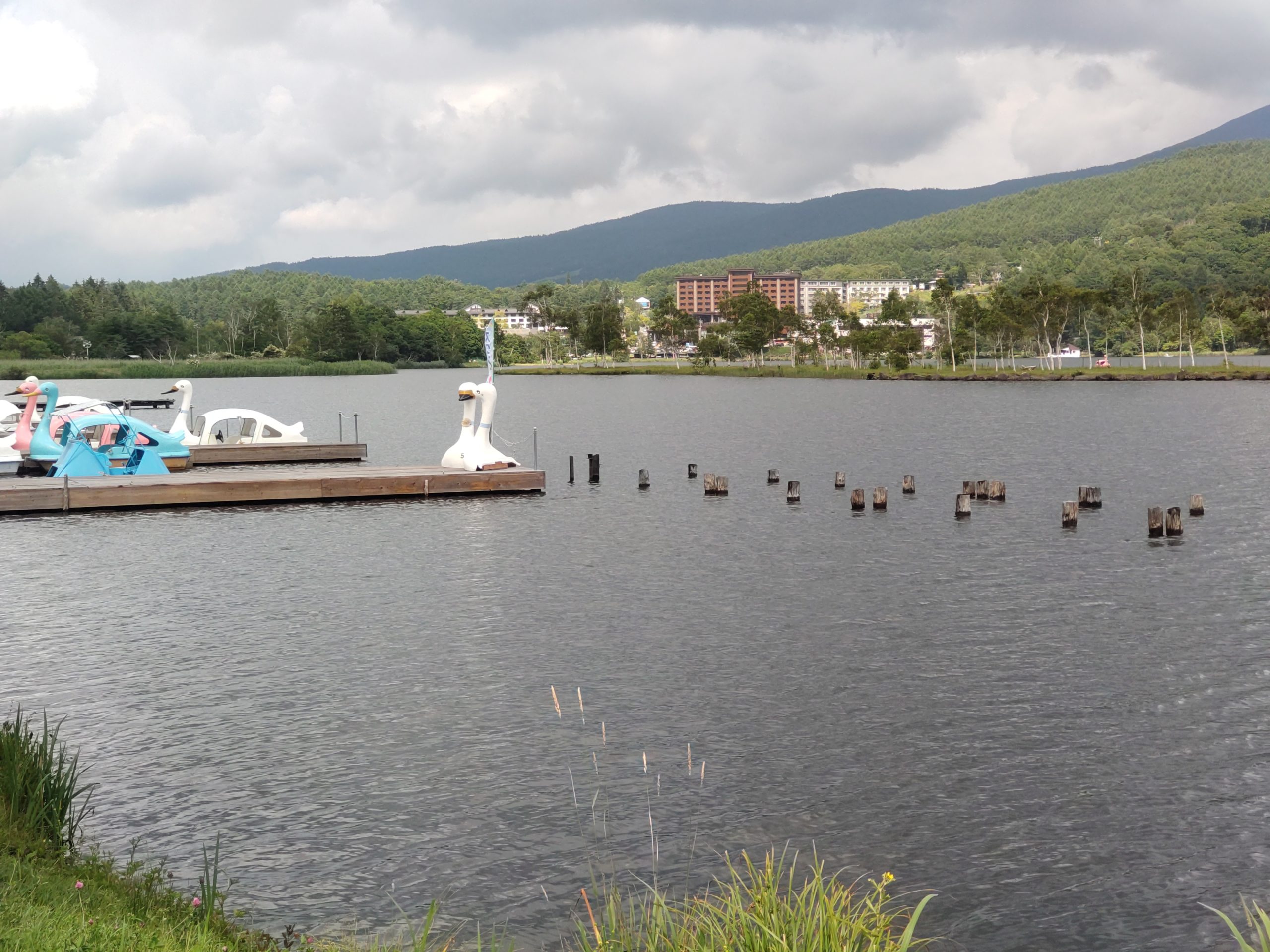 保谷のおおぞら整骨院 21時まで診療。保谷駅徒歩５分