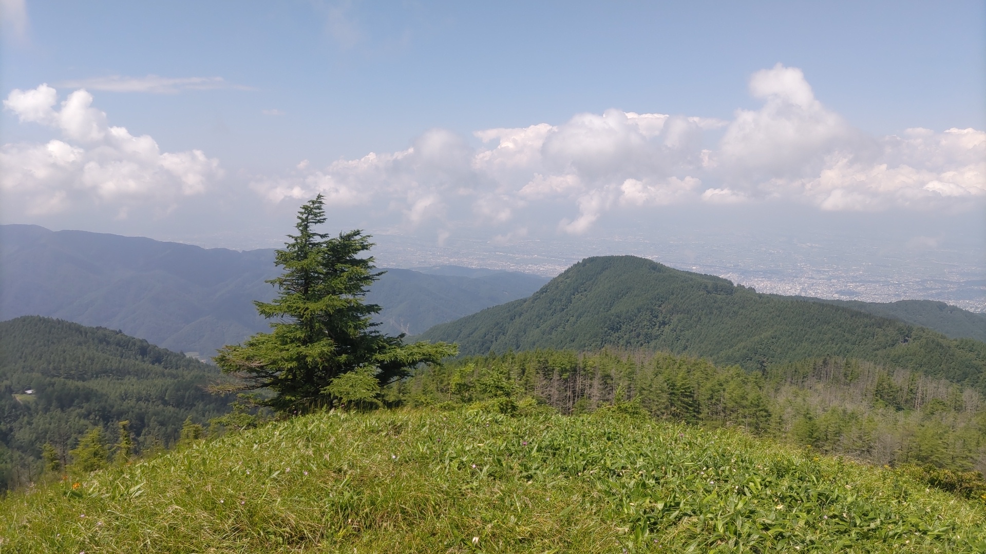 保谷のおおぞら整骨院 21時まで診療。保谷駅徒歩５分