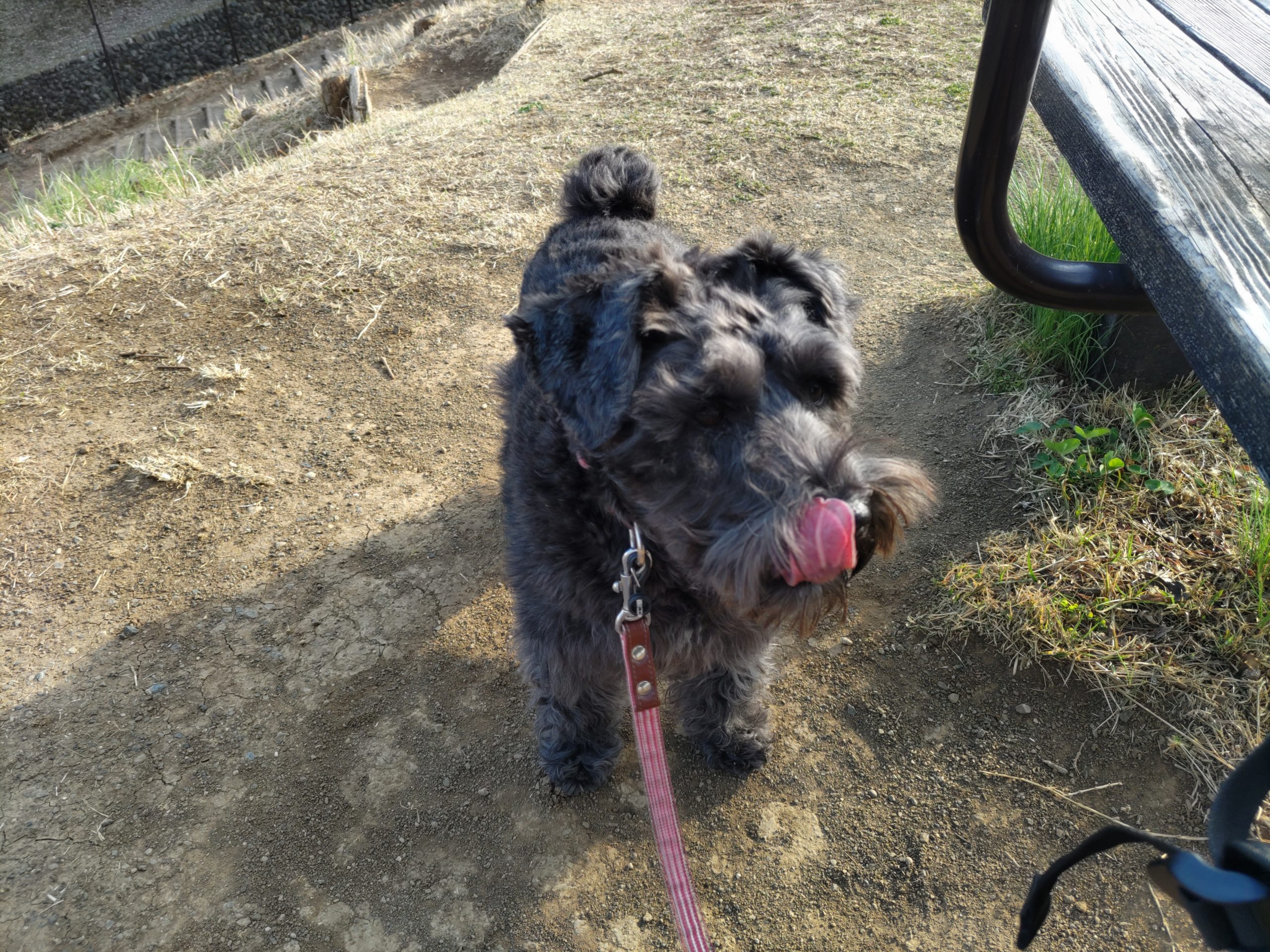 保谷のおおぞら整骨院 21時まで診療。保谷駅徒歩５分