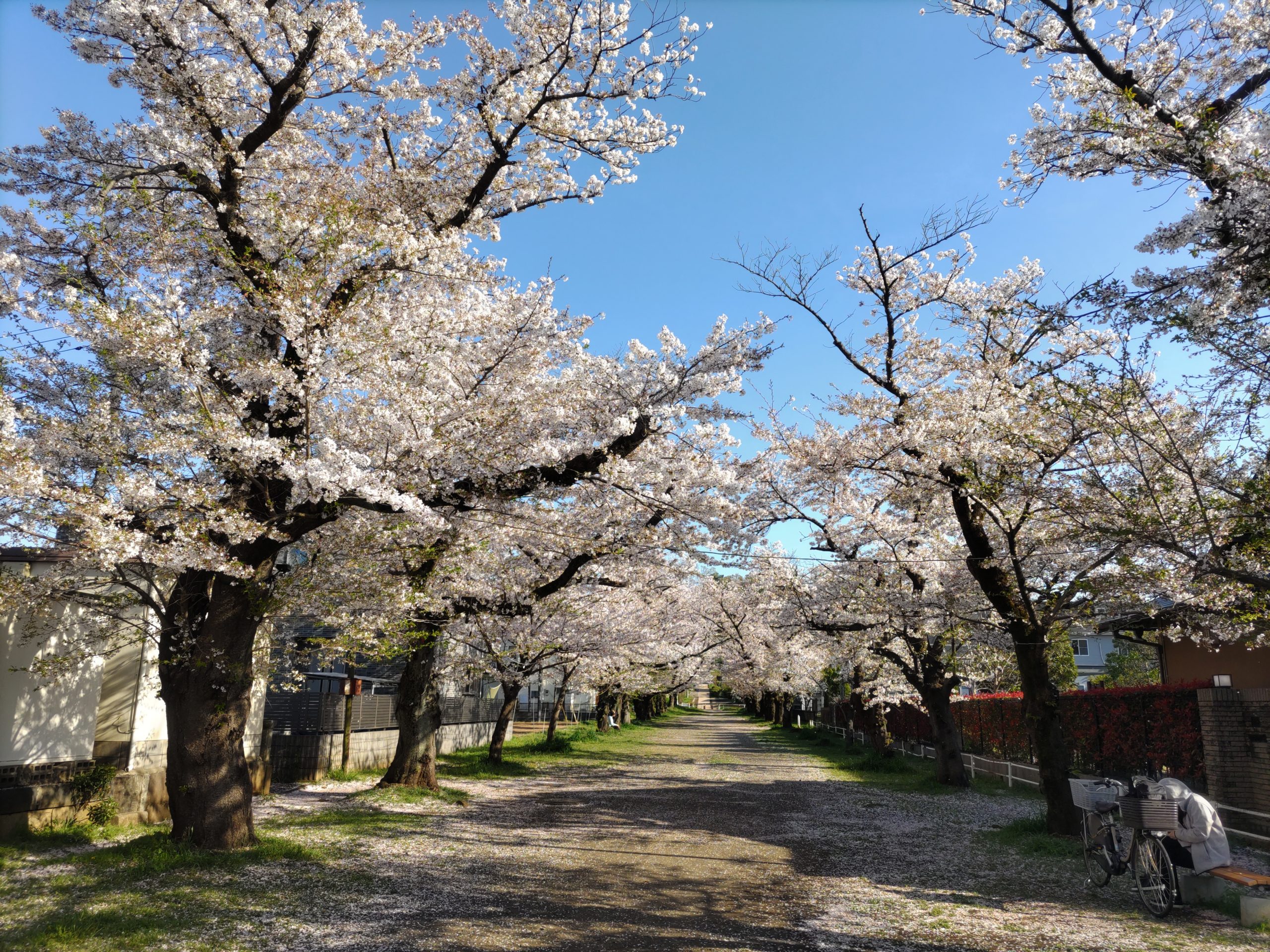 保谷のおおぞら整骨院 21時まで診療。保谷駅徒歩５分