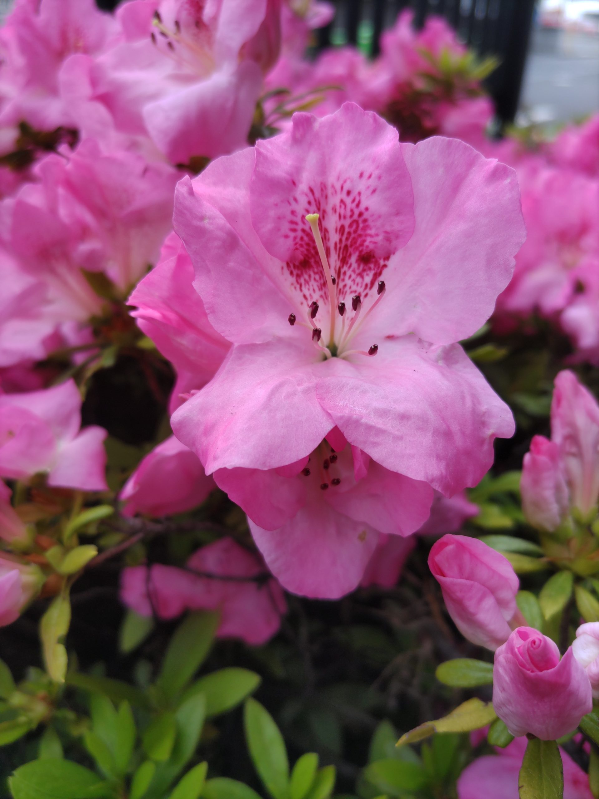 保谷のおおぞら整骨院 21時まで診療。保谷駅徒歩５分