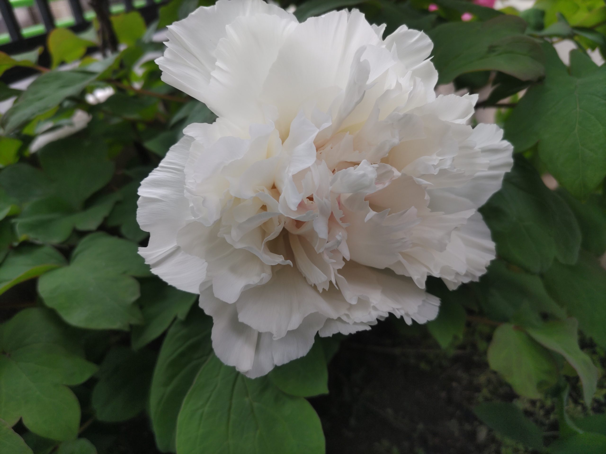 保谷のおおぞら整骨院 21時まで診療。保谷駅徒歩５分