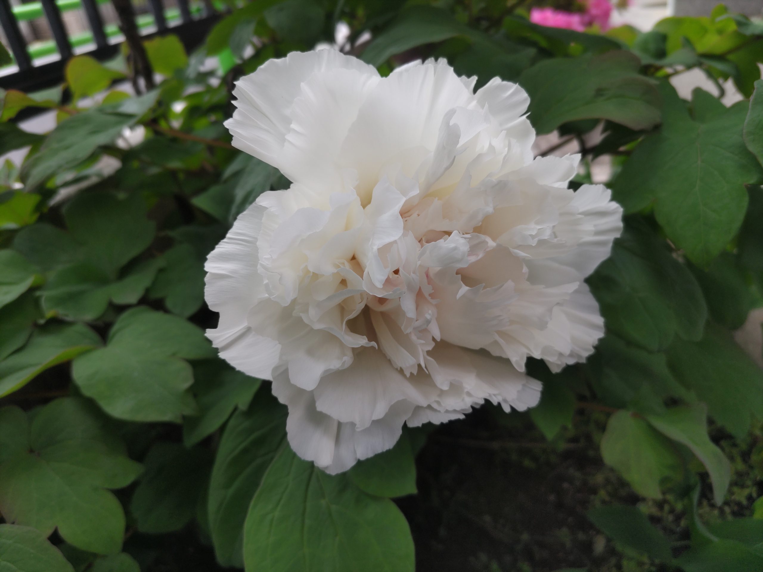 保谷のおおぞら整骨院 21時まで診療。保谷駅徒歩５分