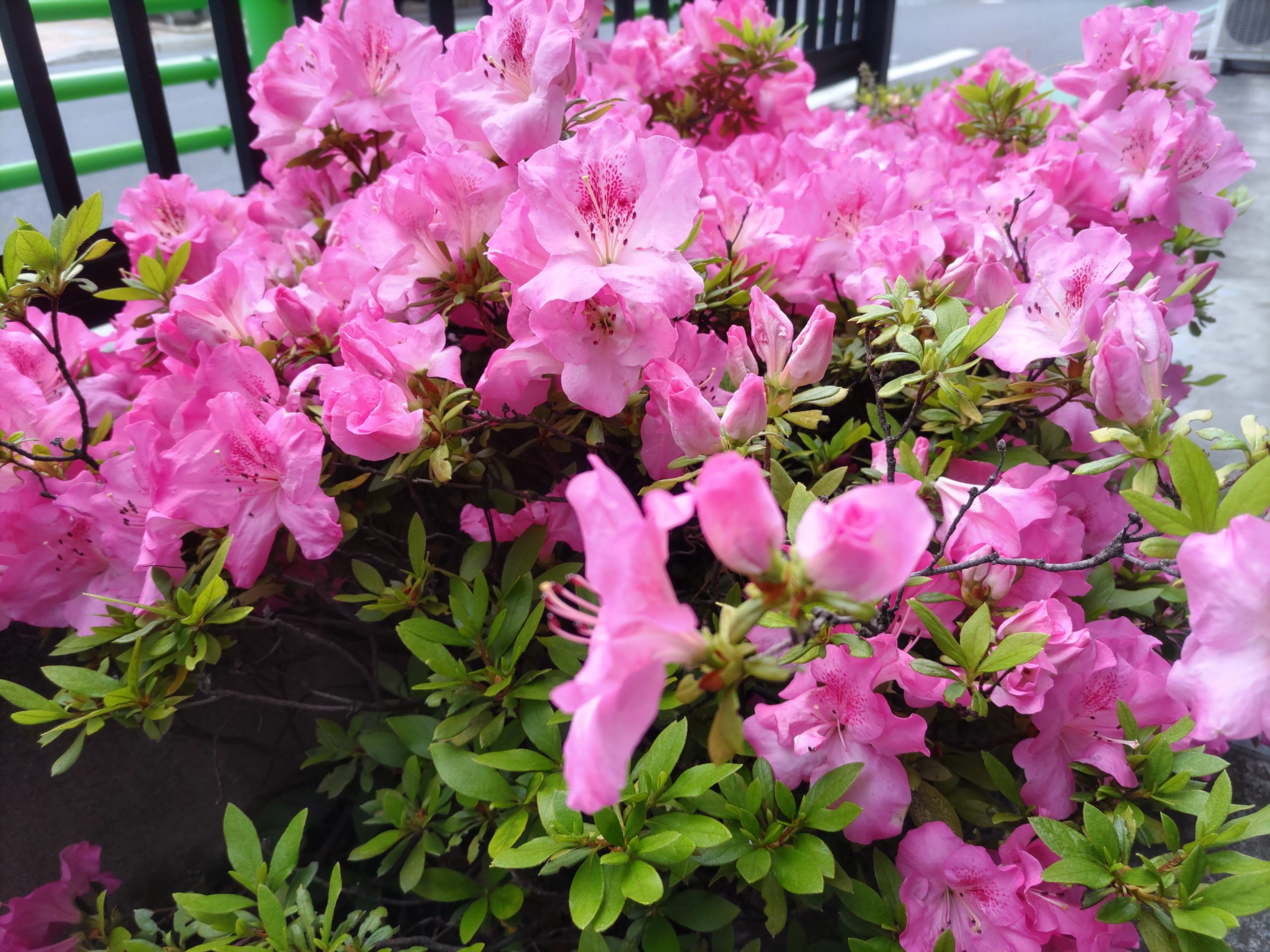 保谷のおおぞら整骨院 21時まで診療。保谷駅徒歩５分