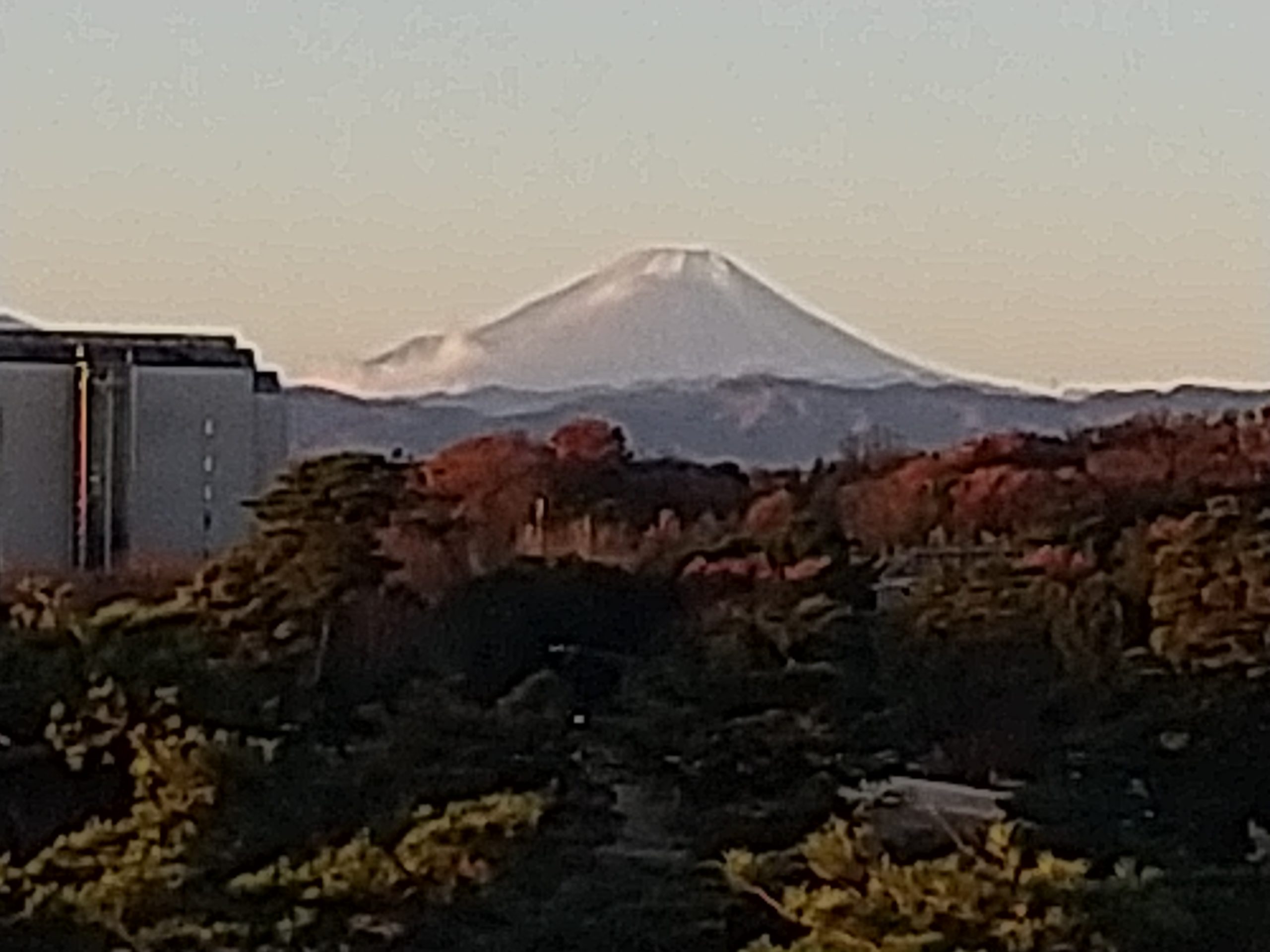 保谷のおおぞら整骨院 21時まで診療。保谷駅徒歩５分
