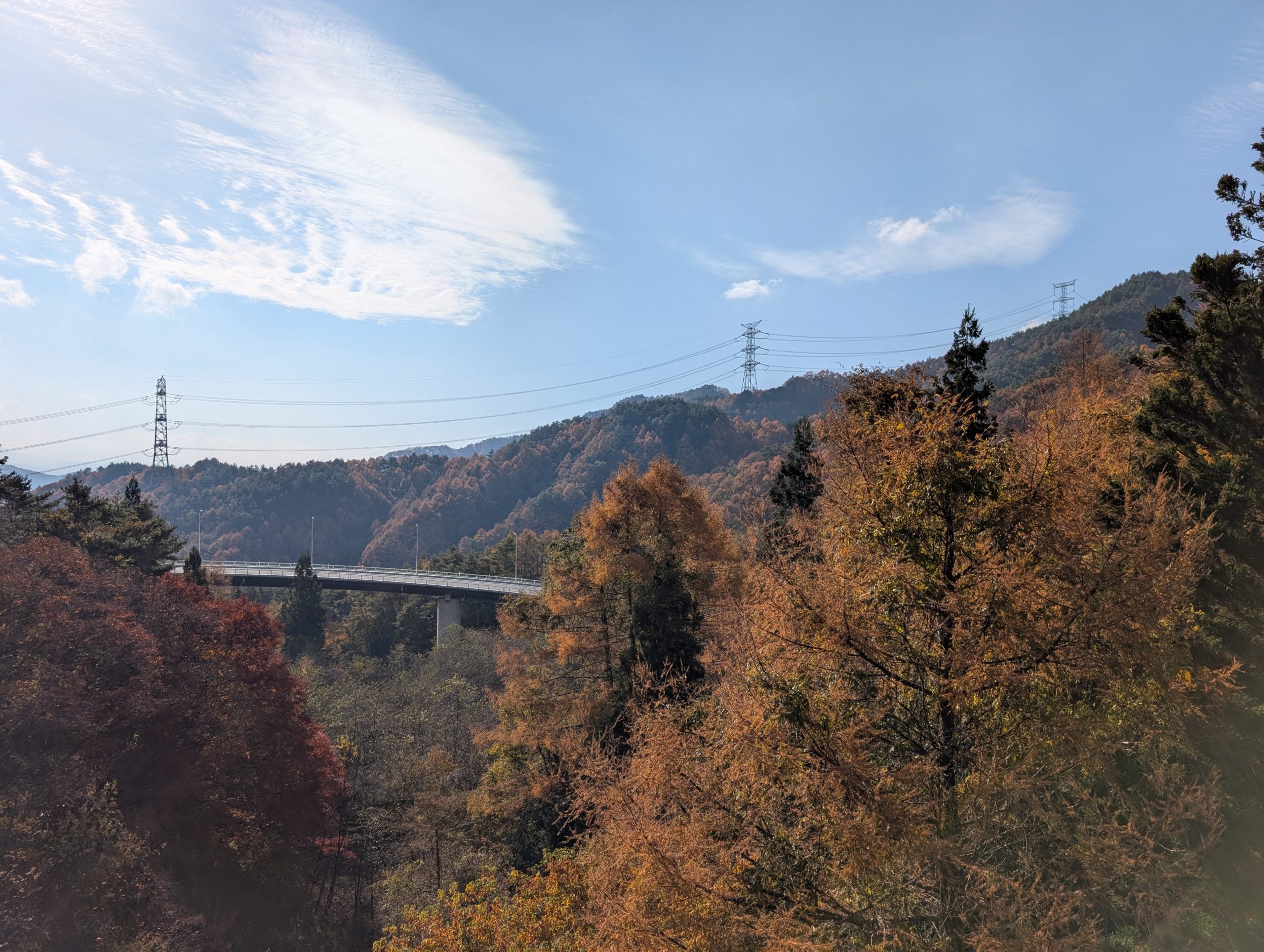 保谷のおおぞら整骨院 21時まで診療。保谷駅徒歩５分