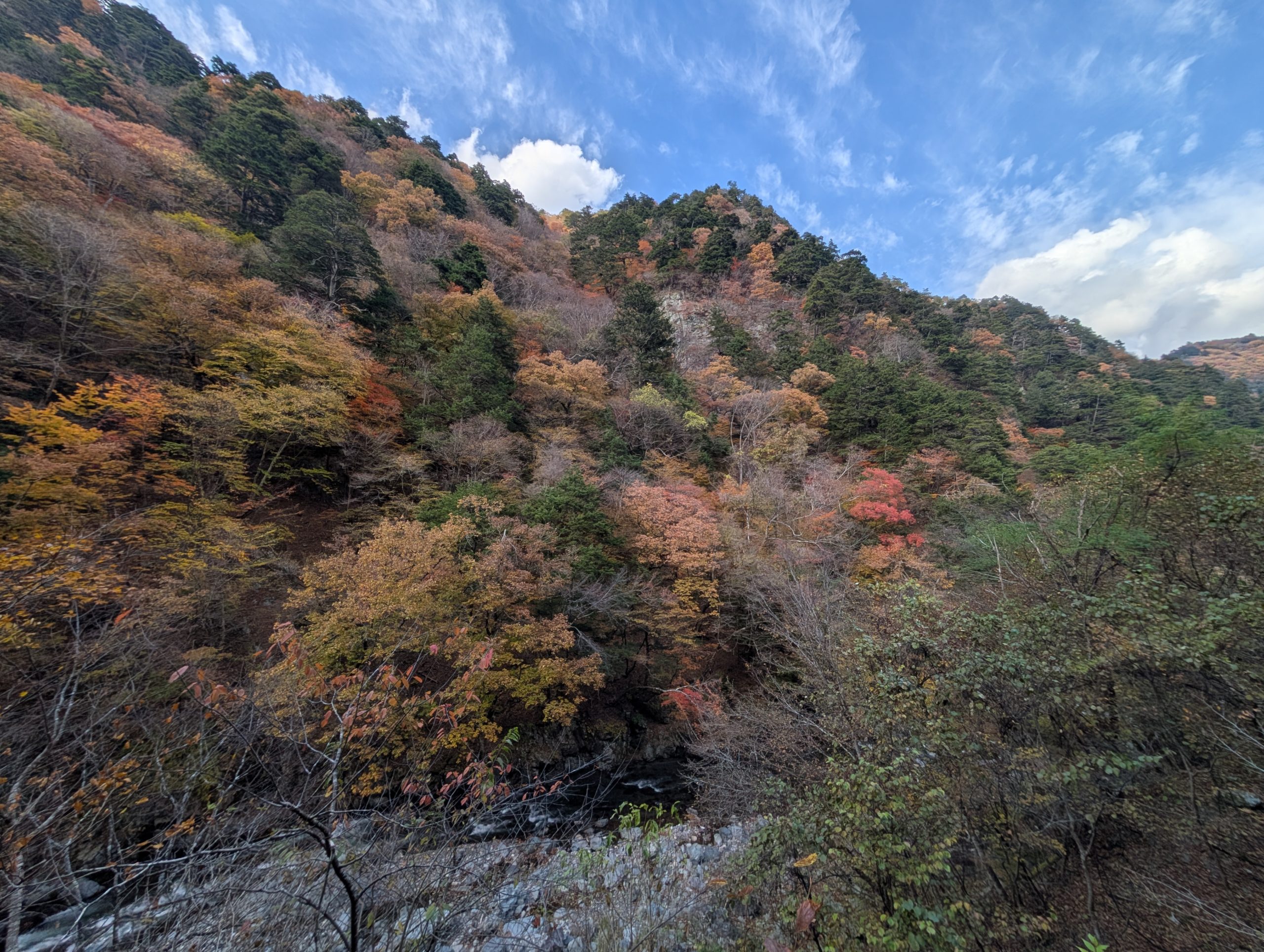 保谷のおおぞら整骨院 21時まで診療。保谷駅徒歩５分