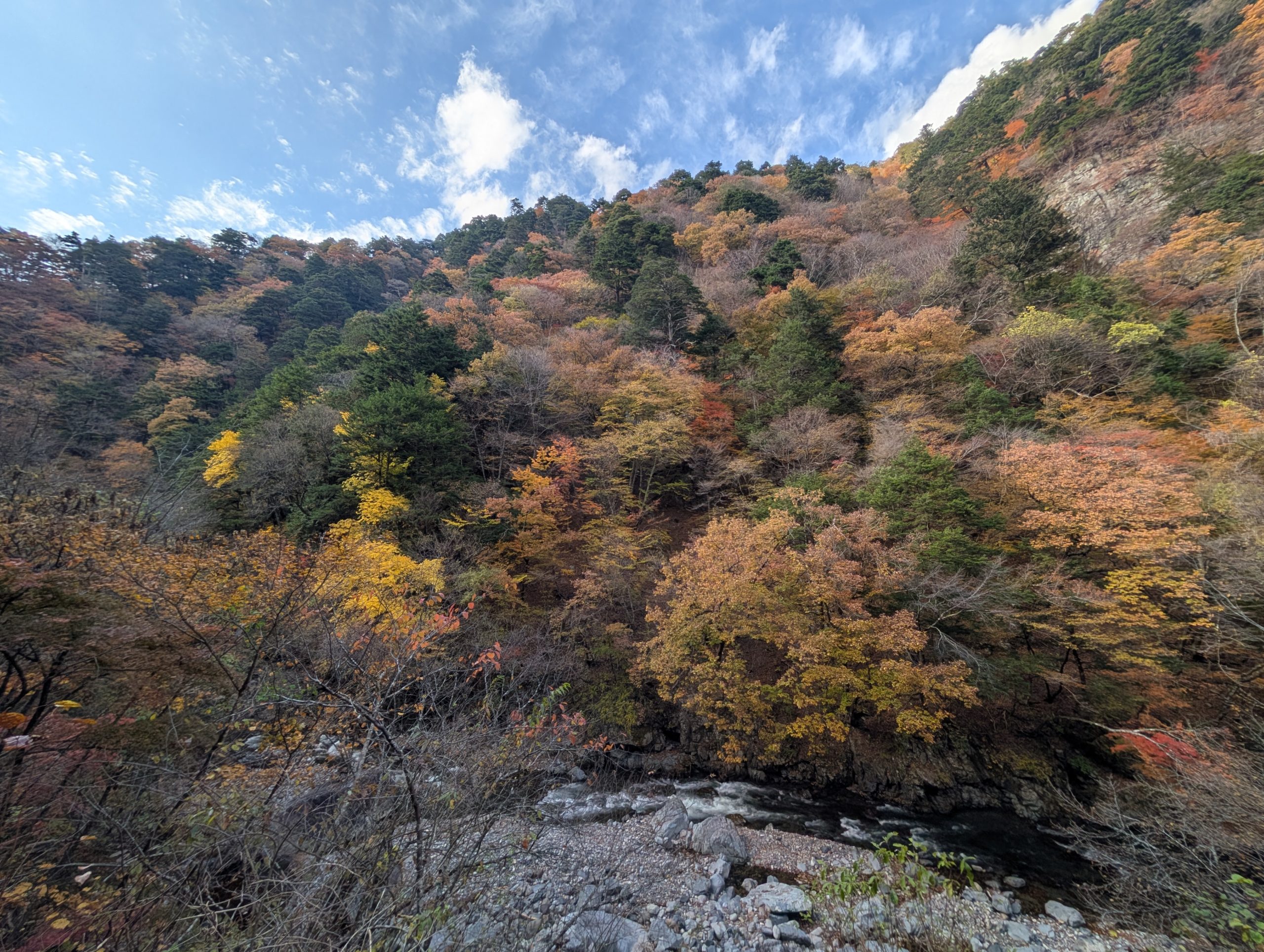 保谷のおおぞら整骨院 21時まで診療。保谷駅徒歩５分
